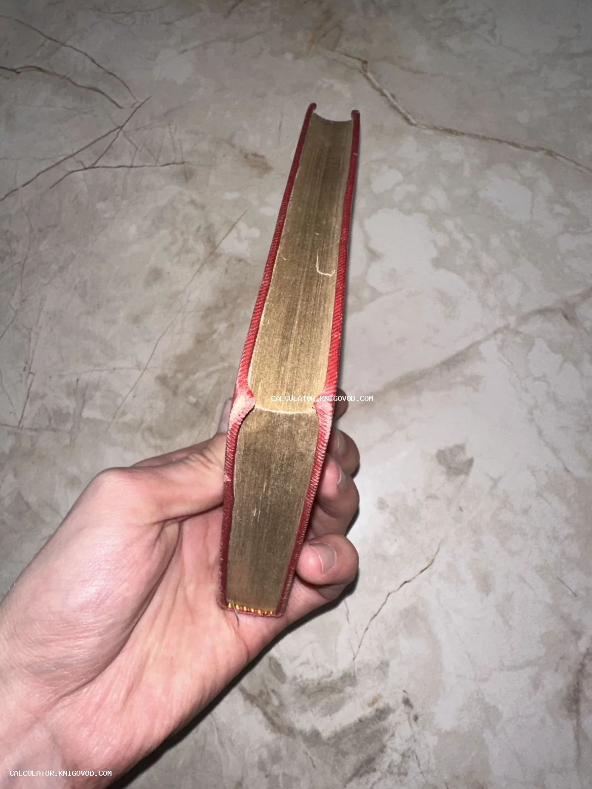 Рука держит антикварную книгу в красном переплете с позолоченными торцами страниц на фоне мрамора.