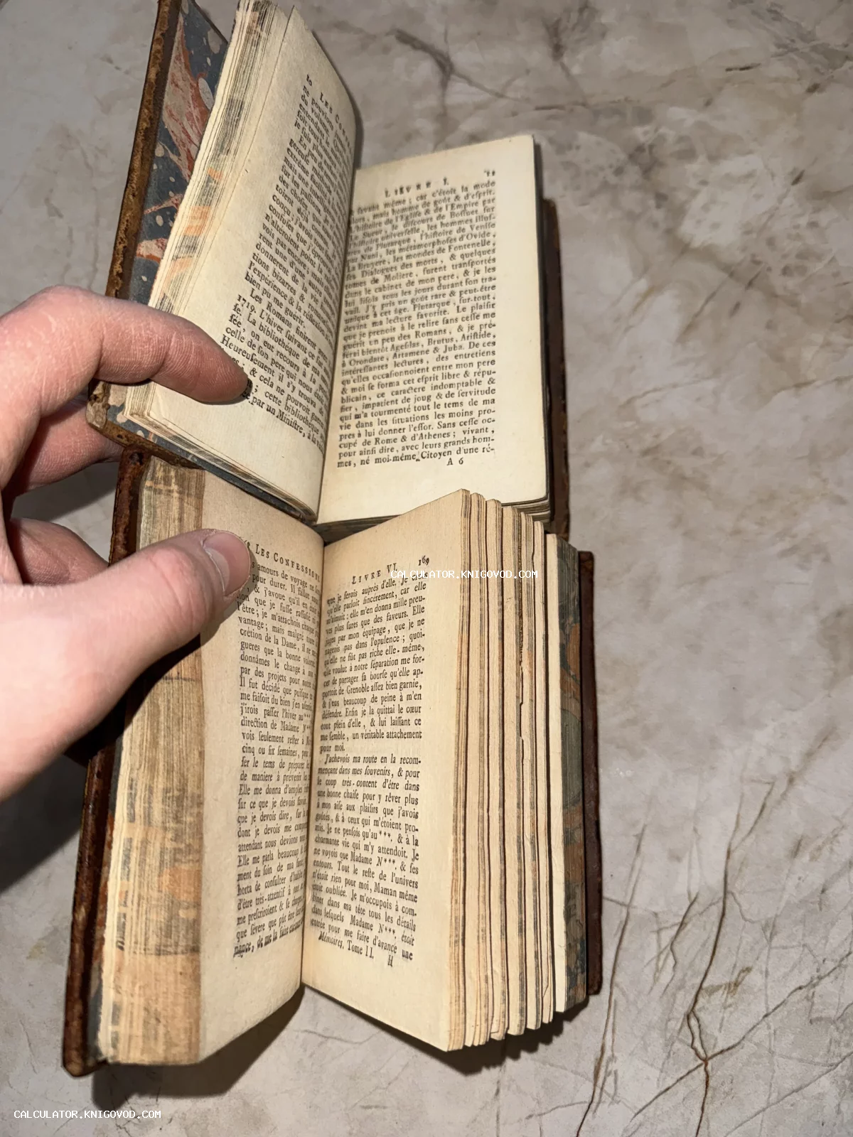 Две раскрытые старинные книги малого формата с пожелтевшими страницами и французским текстом в кожаных переплетах.