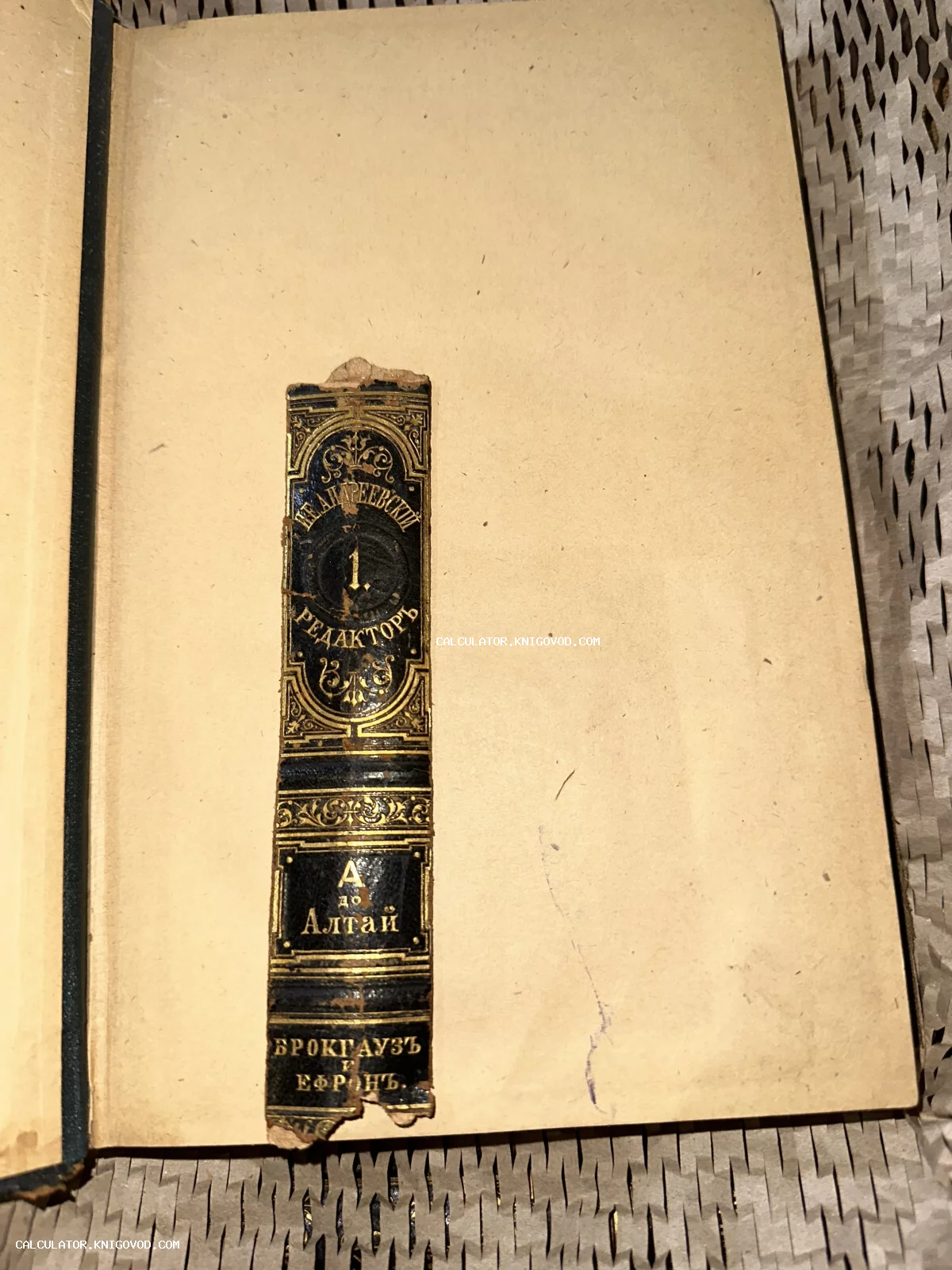 Старинный кожаный корешок книги с золотым тиснением Брокгауз и Ефрон, наклеенный на светлый бумажный форзац.