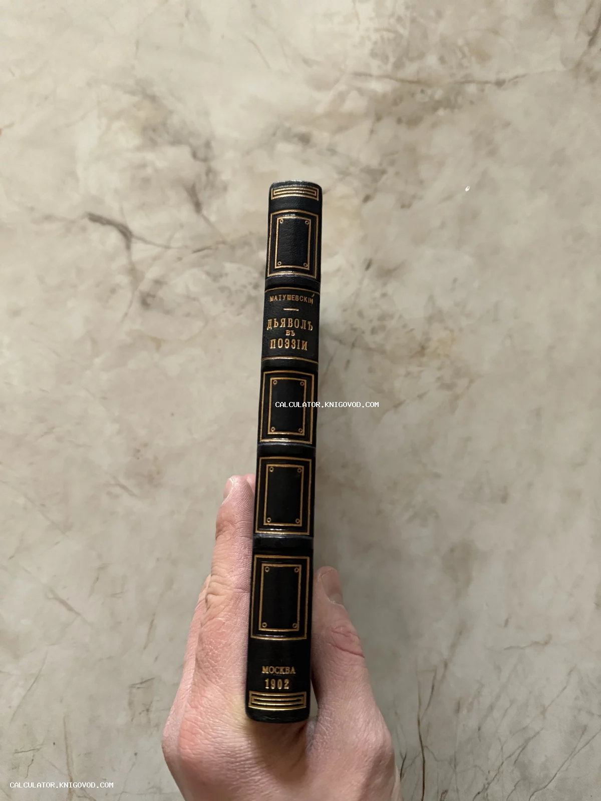 Корешок антикварной книги в черном кожаном переплете с золотым тиснением: Матушевский, Дьявол в поэзии, Москва 1902.