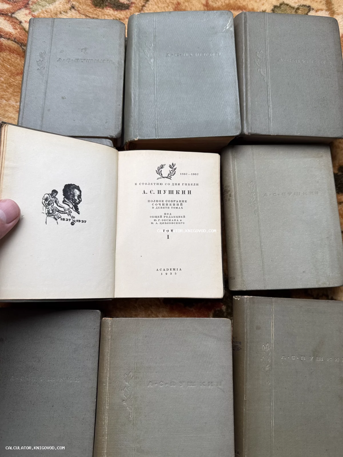 Девятитомное собрание сочинений Александра Пушкина в серых тканевых переплетах, открытый титульный лист первого тома издания Academia 1935 года.