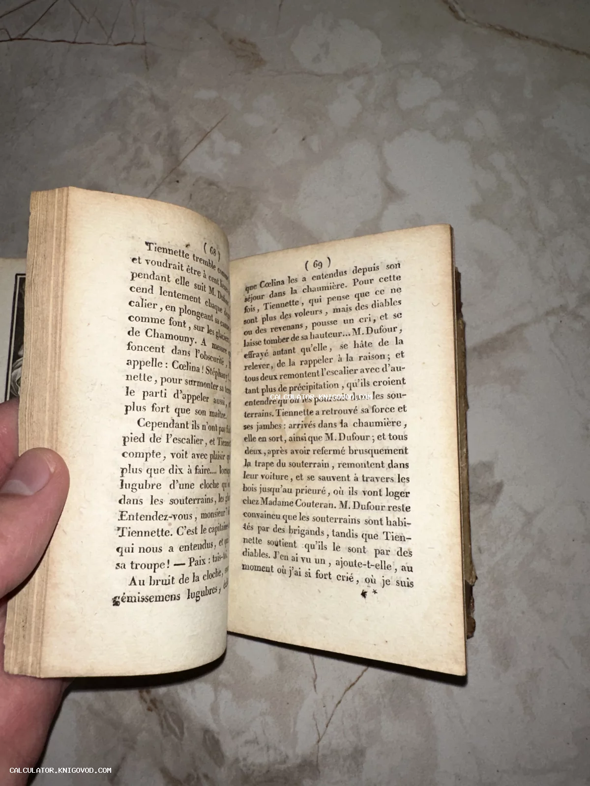 Разворот антикварной книги на французском языке с пожелтевшими страницами и старинным шрифтом.