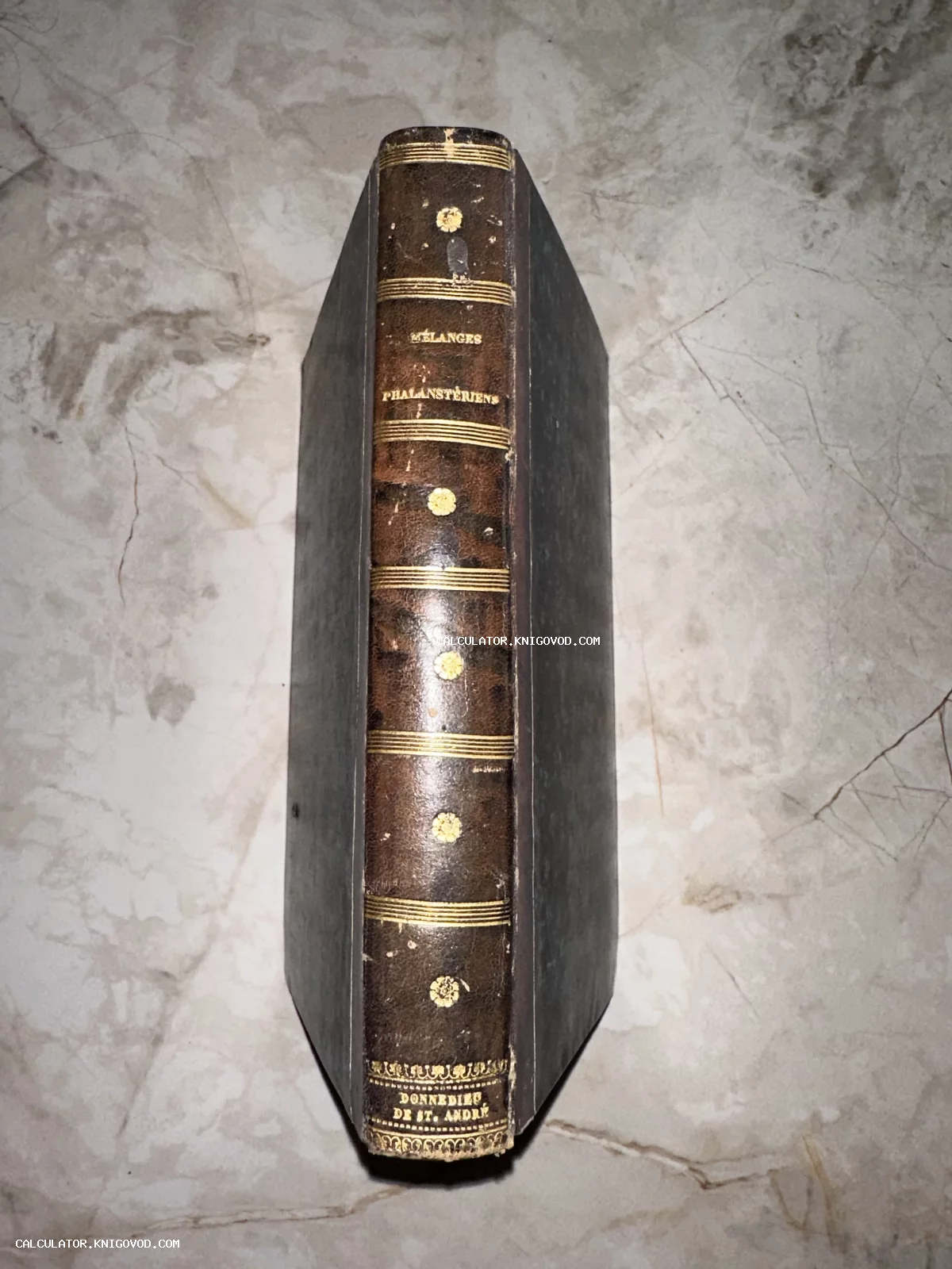 Вид сверху на корешок старинной книги с золотым тиснением и надписями Mélanges Phalanstériens и Donnedieu de St. André.