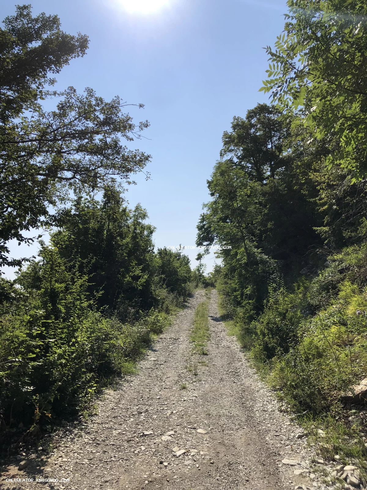 Старая гравийная дорога, окруженная густой зеленью деревьев под ясным голубым небом.