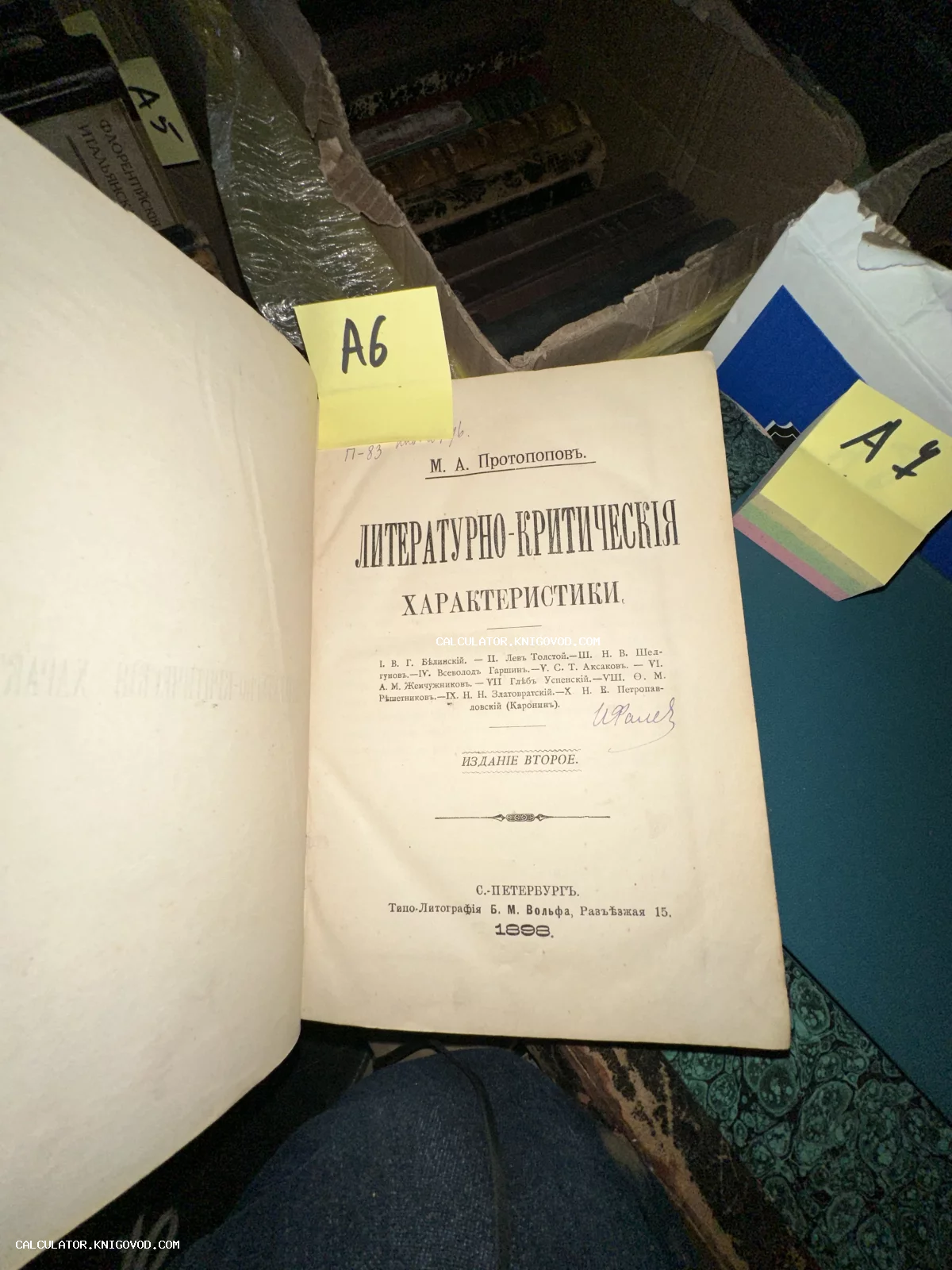 Титульный лист антикварной книги М. А. Протопопова «Литературно-критическія характеристики», изданной в Санкт-Петербурге в 1898 году.