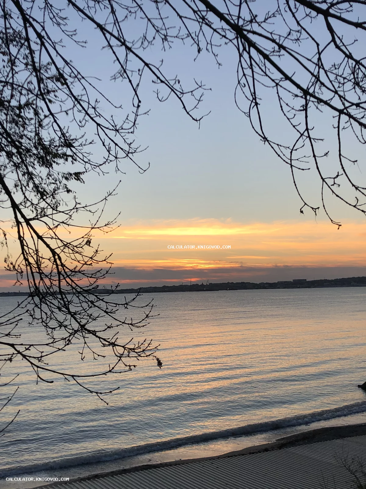 Вид на море во время заката, обрамленный силуэтами голых веток деревьев на переднем плане.