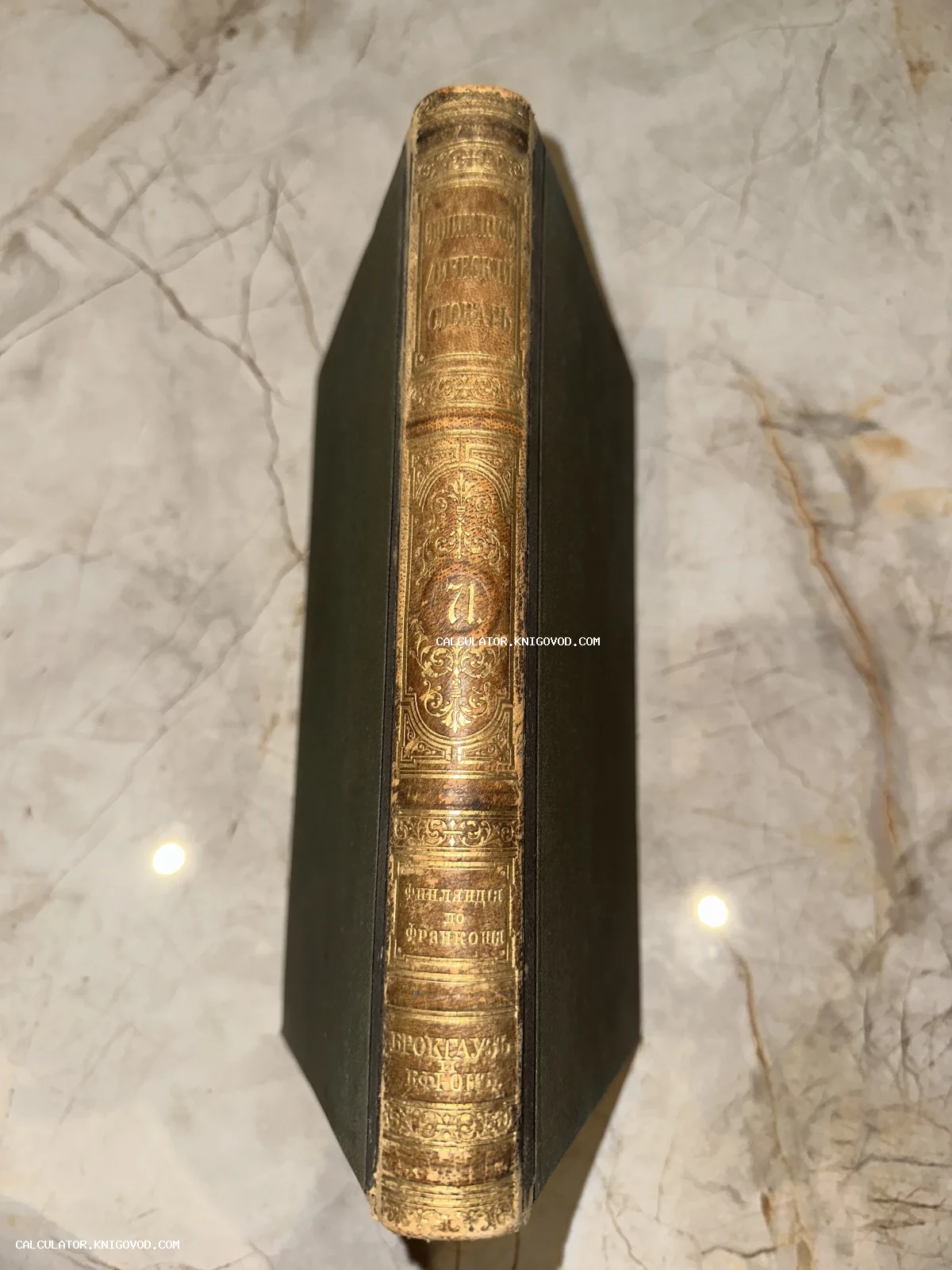 Кожаный корешок старинной книги с золотым тиснением: Энциклопедический словарь Брокгауза и Ефрона, том 71.