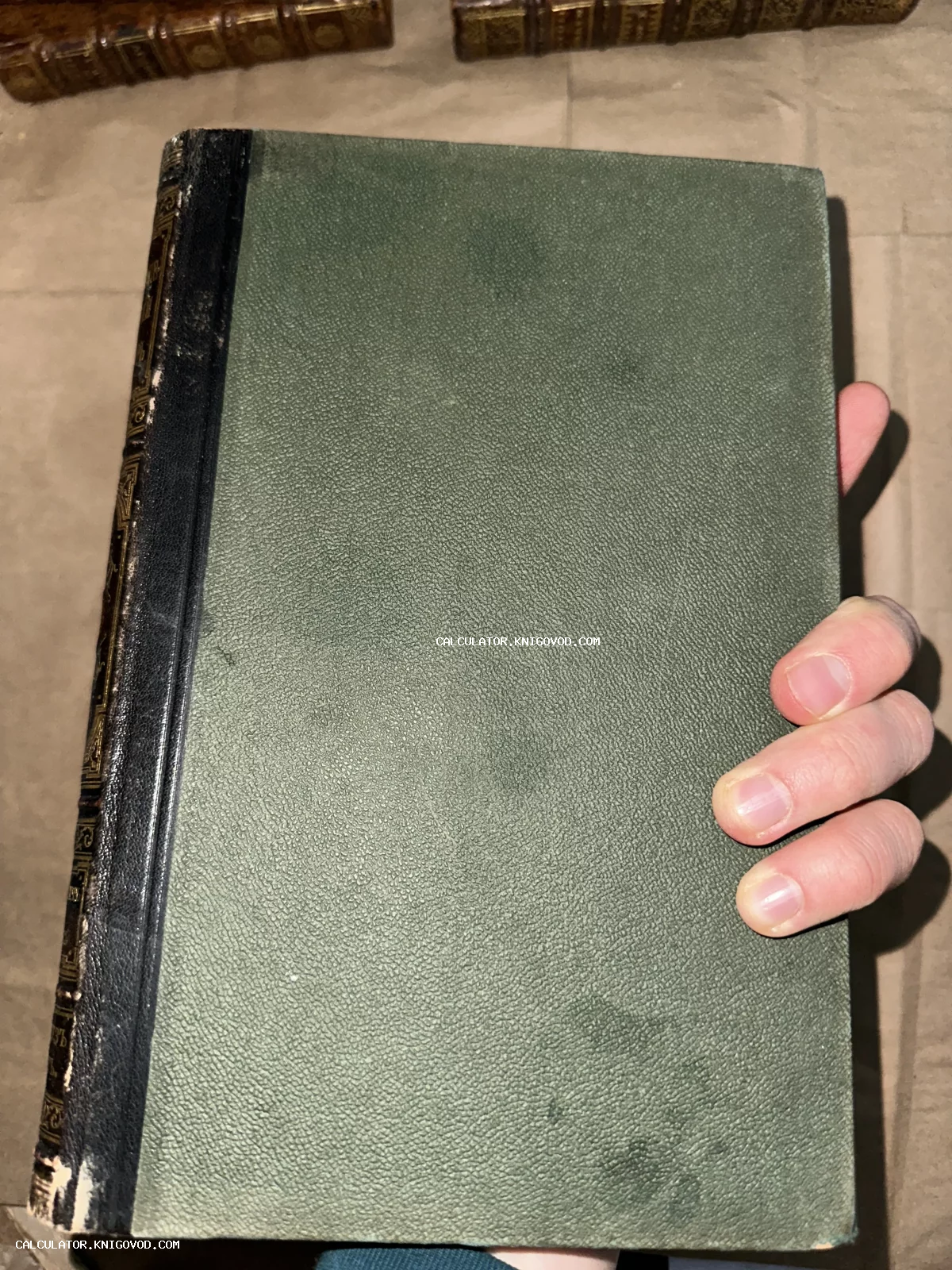 Антикварная книга в твердом зеленом переплете с темным кожаным корешком и золотым тиснением в руках коллекционера.
