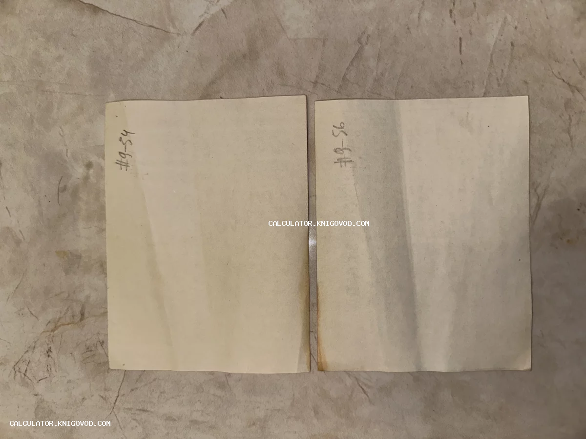Две пожелтевшие старинные карточки с рукописными инвентарными номерами на мраморном фоне.