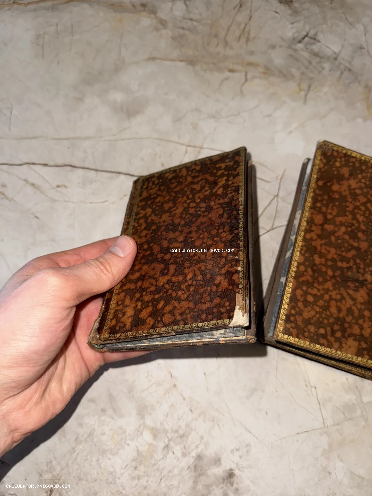 Две старинные малоформатные книги с коричневым мраморным узором на обложке и золотым тиснением по периметру.