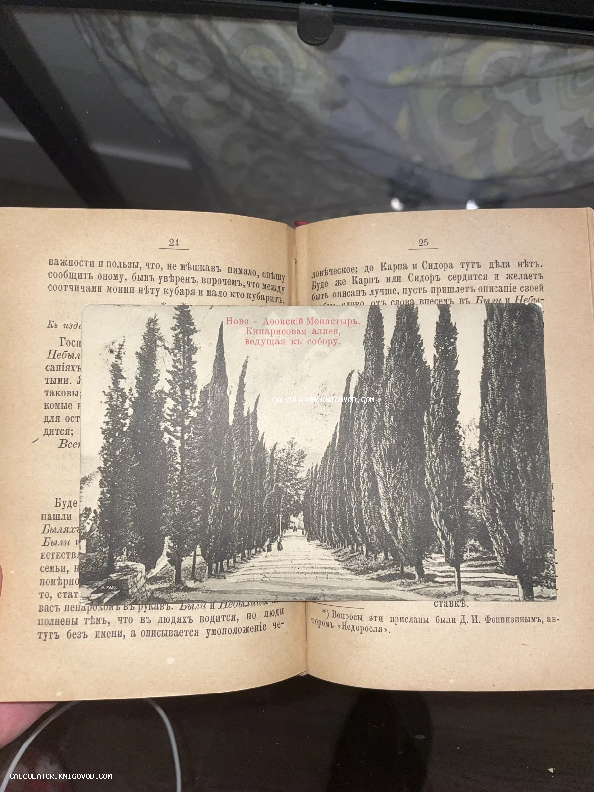 Старинная черно-белая открытка с видом на Кипарисовую аллею в Новом Афоне, лежащая на страницах раскрытой дореволюционной книги.