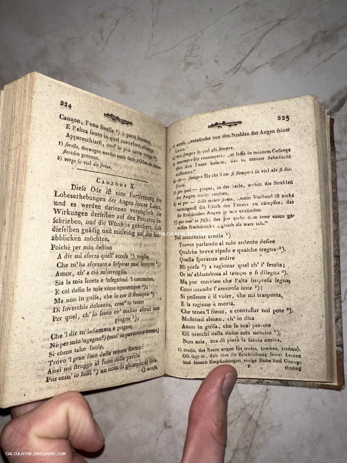 Разворот антикварной книги со страницами 224 и 225, содержащий текст Канцоны X Петрарки на итальянском языке с комментариями на немецком.