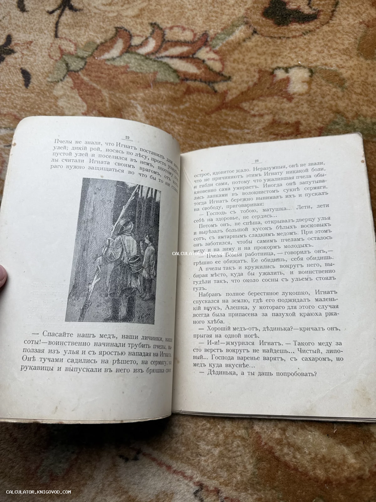 Разворот старинной книги на русском языке с дореформенной орфографией и черно-белой иллюстрацией пчеловода.