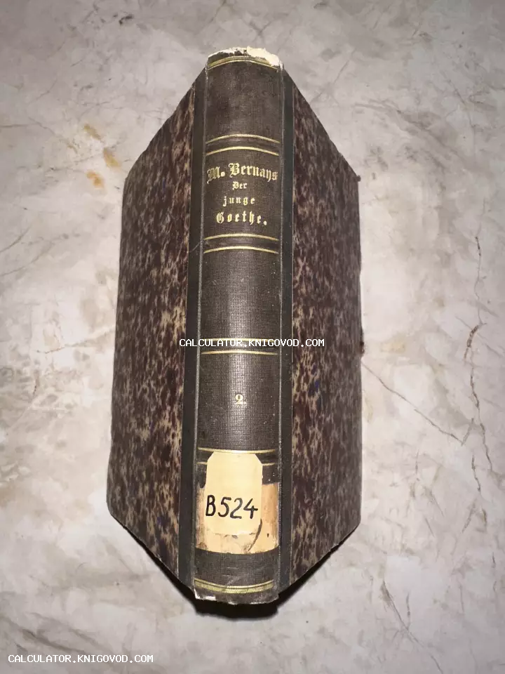 Корешок и обложка старинной книги на немецком языке под названием Der junge Goethe авторства M. Bernays с мраморным узором.