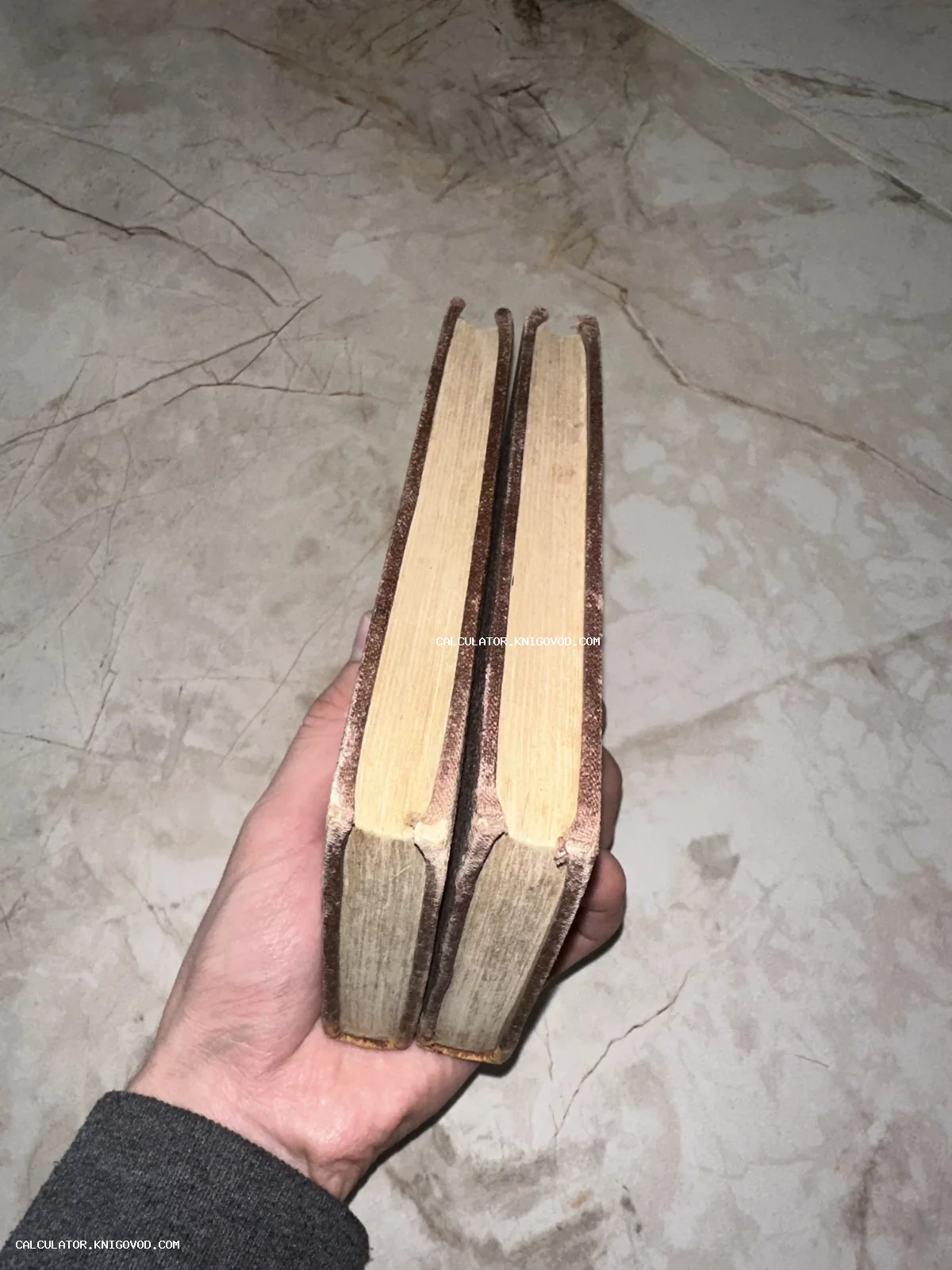 Вид сверху на два антикварных тома с пожелтевшими страницами и потертыми корешками в руке.