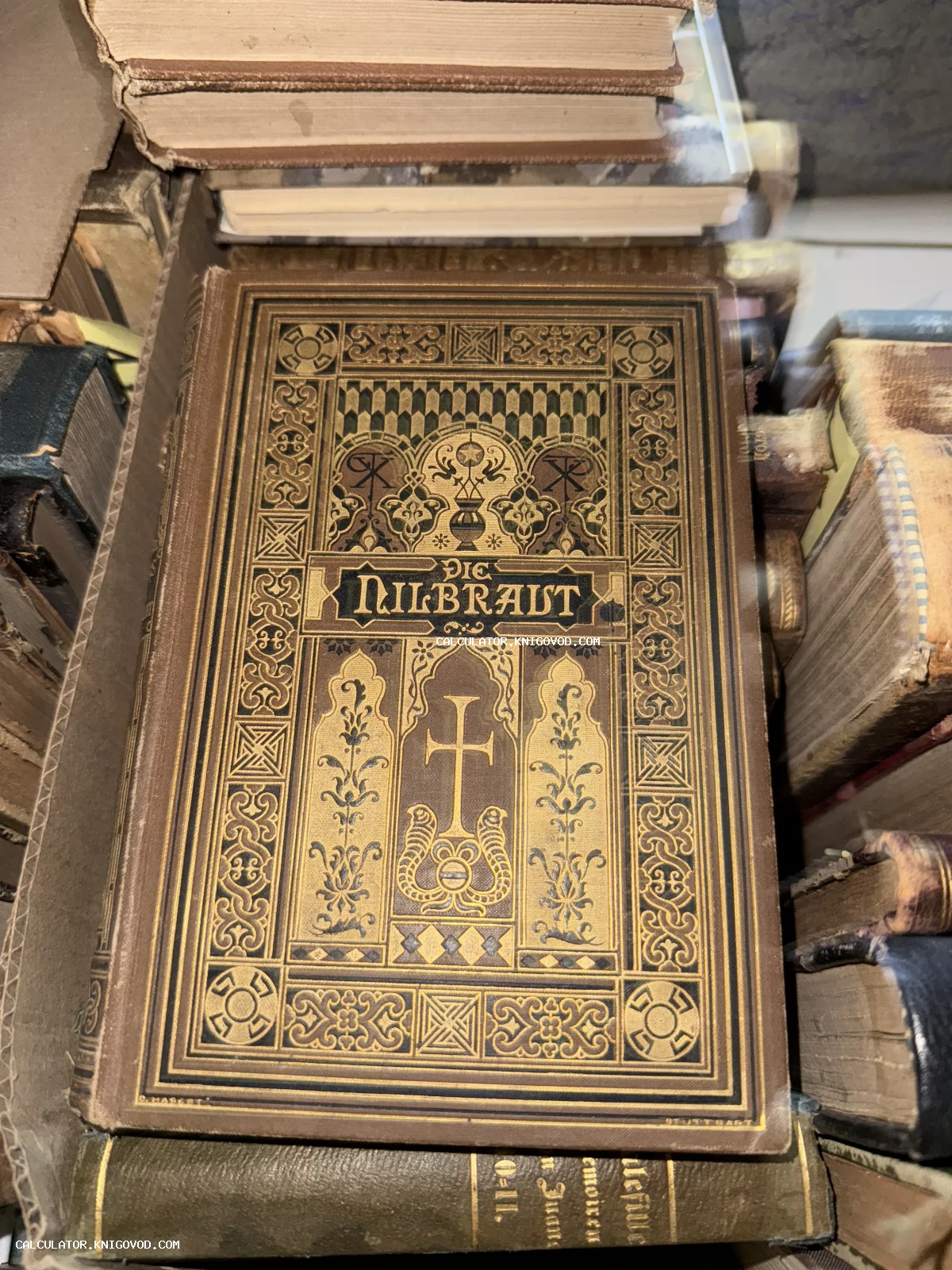 Старинная книга в твердом переплете с богатым золотым тиснением и орнаментом, название Die Nilbraut на немецком языке.