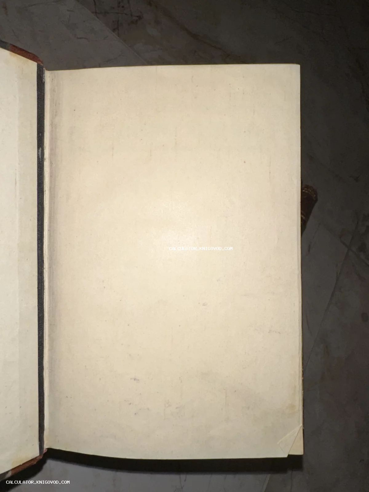 Раскрытая старинная книга, демонстрирующая пустой пожелтевший лист бумаги с текстурой времени.