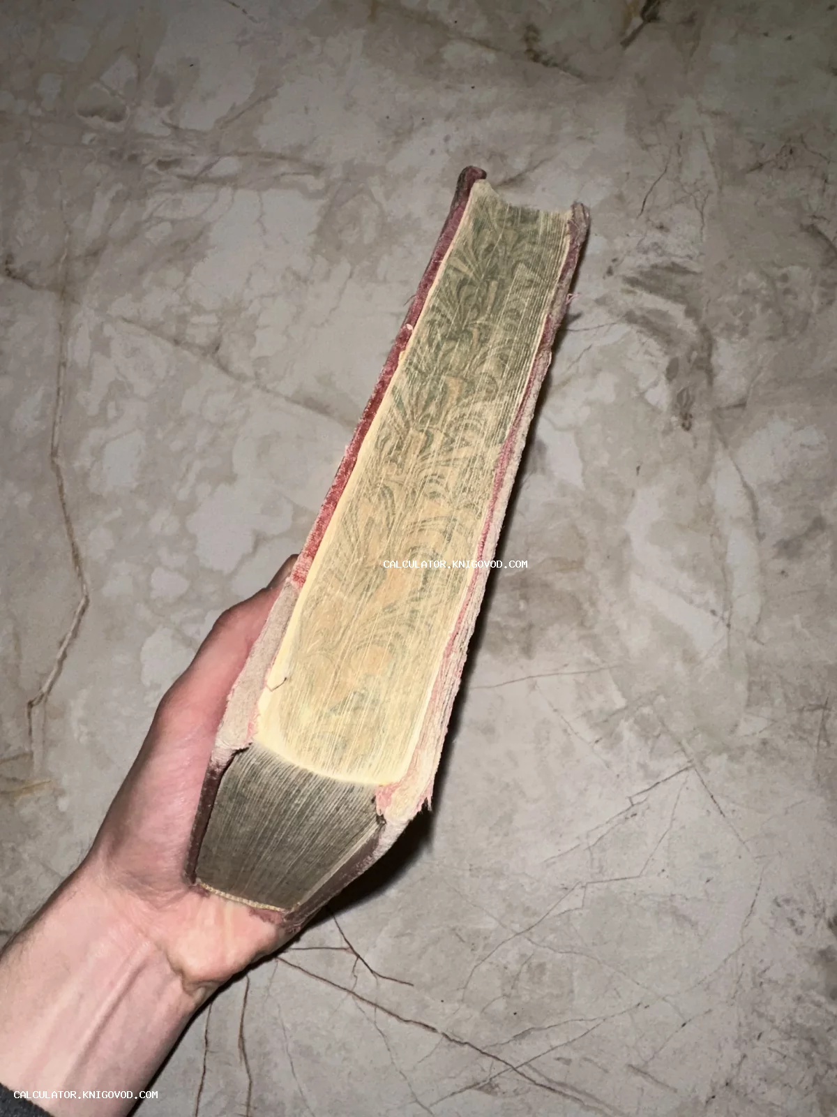 Вид сбоку на толстую старинную книгу в руке с декоративным узором на торце страниц.