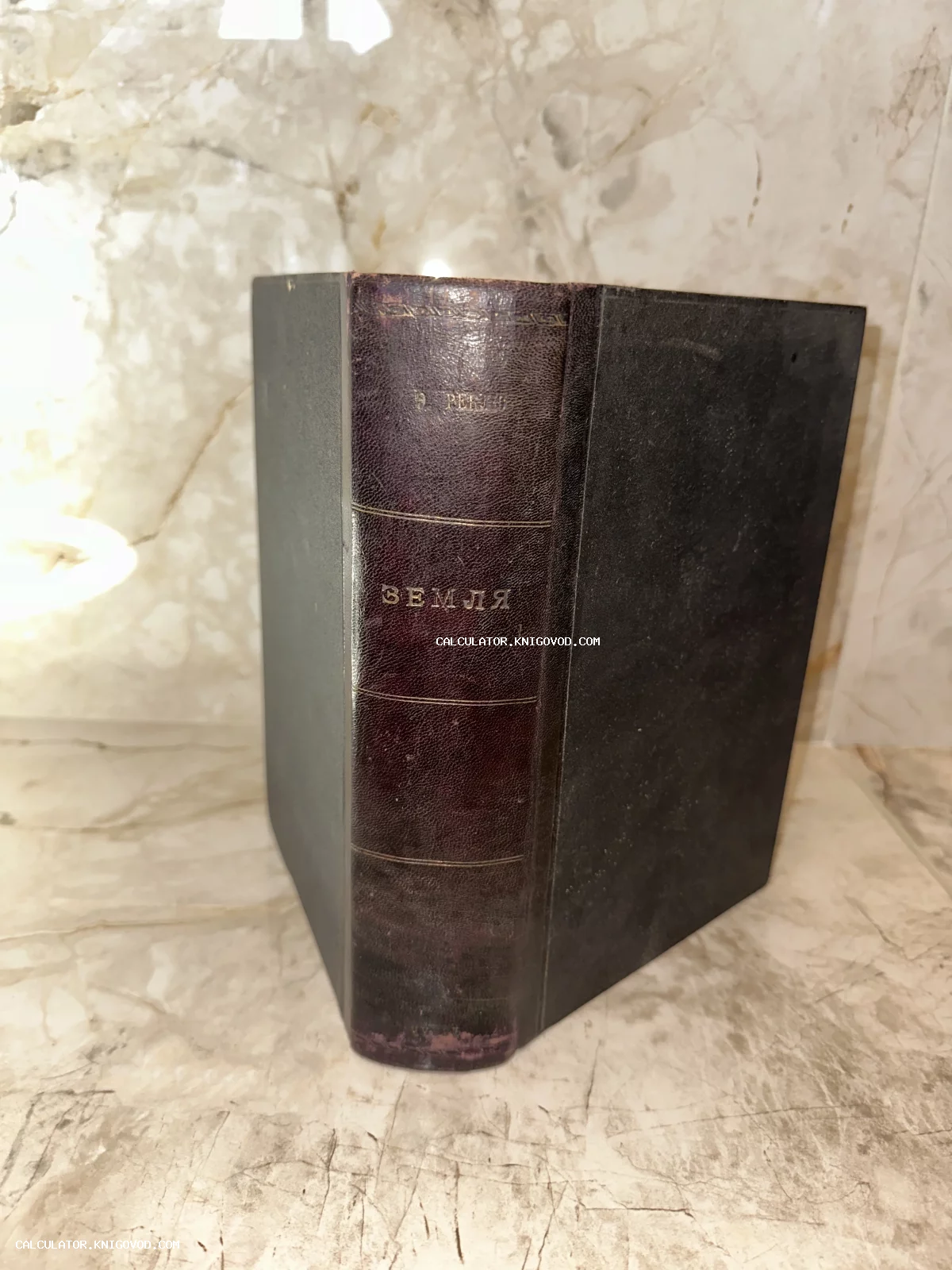 Старинная книга с кожаным корешком темного цвета, на котором вытиснено название «Земля» и автор «Э. Реклю».