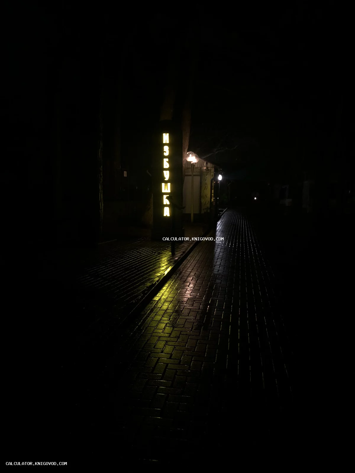 Ночной городской пейзаж с мокрым тротуаром, в котором отражается вертикальная светящаяся вывеска Избушка.