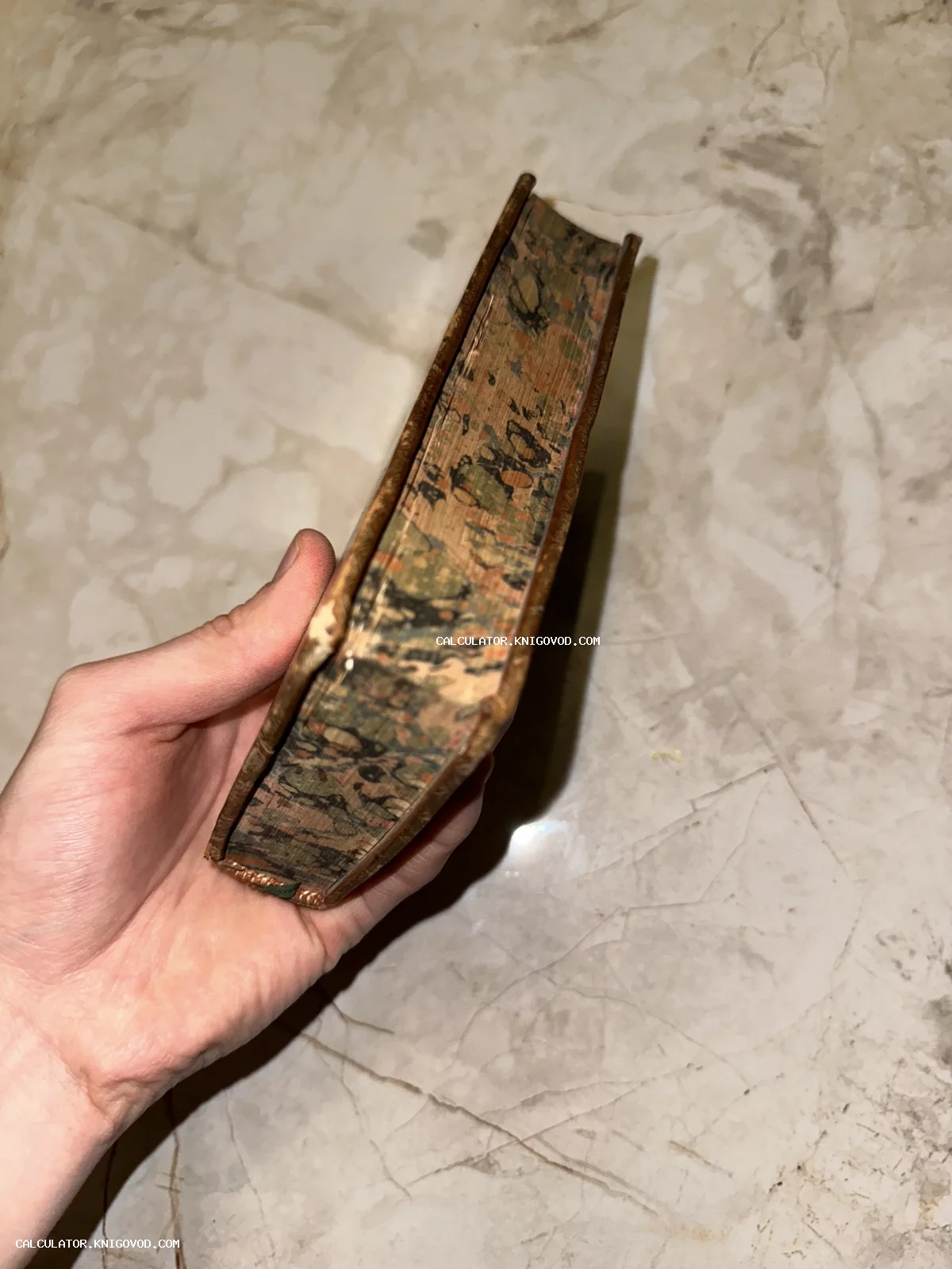 Вид на декоративный цветной обрез старинной книги, которую держат в руке над светлой поверхностью.