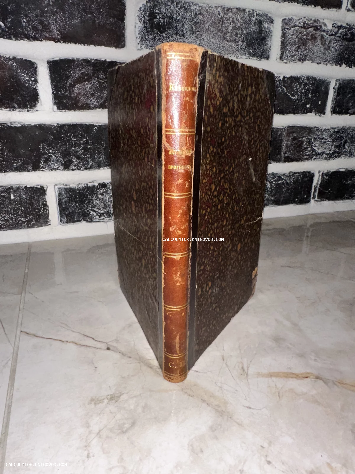 Антикварная книга с коричневым кожаным корешком и золотыми буквами на фоне декоративной кирпичной кладки.