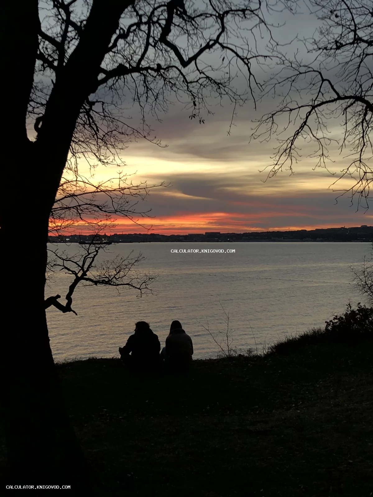 Силуэты двух человек, сидящих на берегу под деревом и наблюдающих яркий закат над морем.