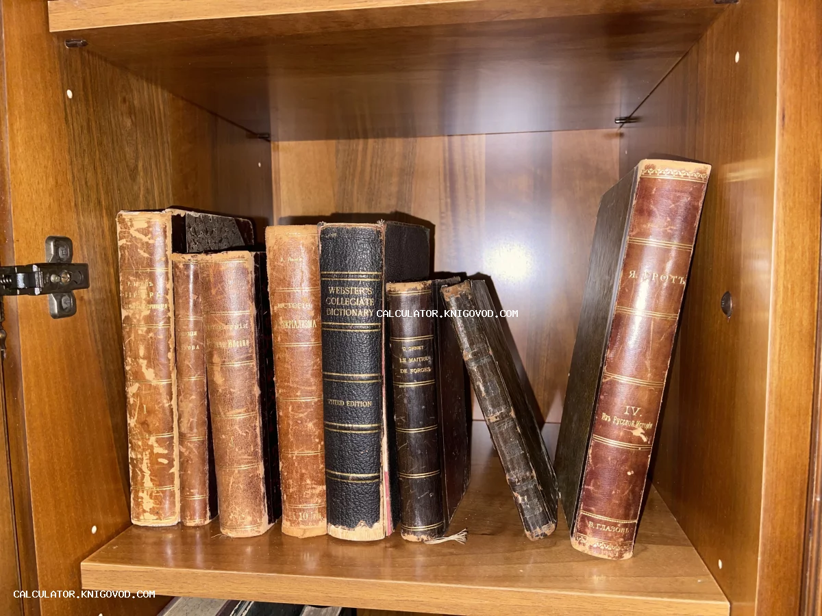 Старинные книги с потертыми корешками и золотым тиснением на полке деревянного шкафа.