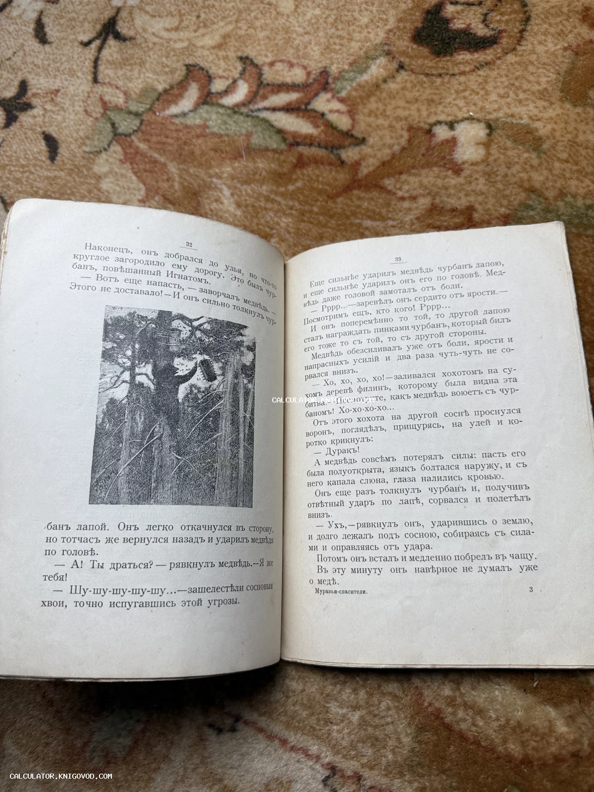 Разворот антикварной книги с текстом на дореволюционном русском языке и графической иллюстрацией медведя у дерева.