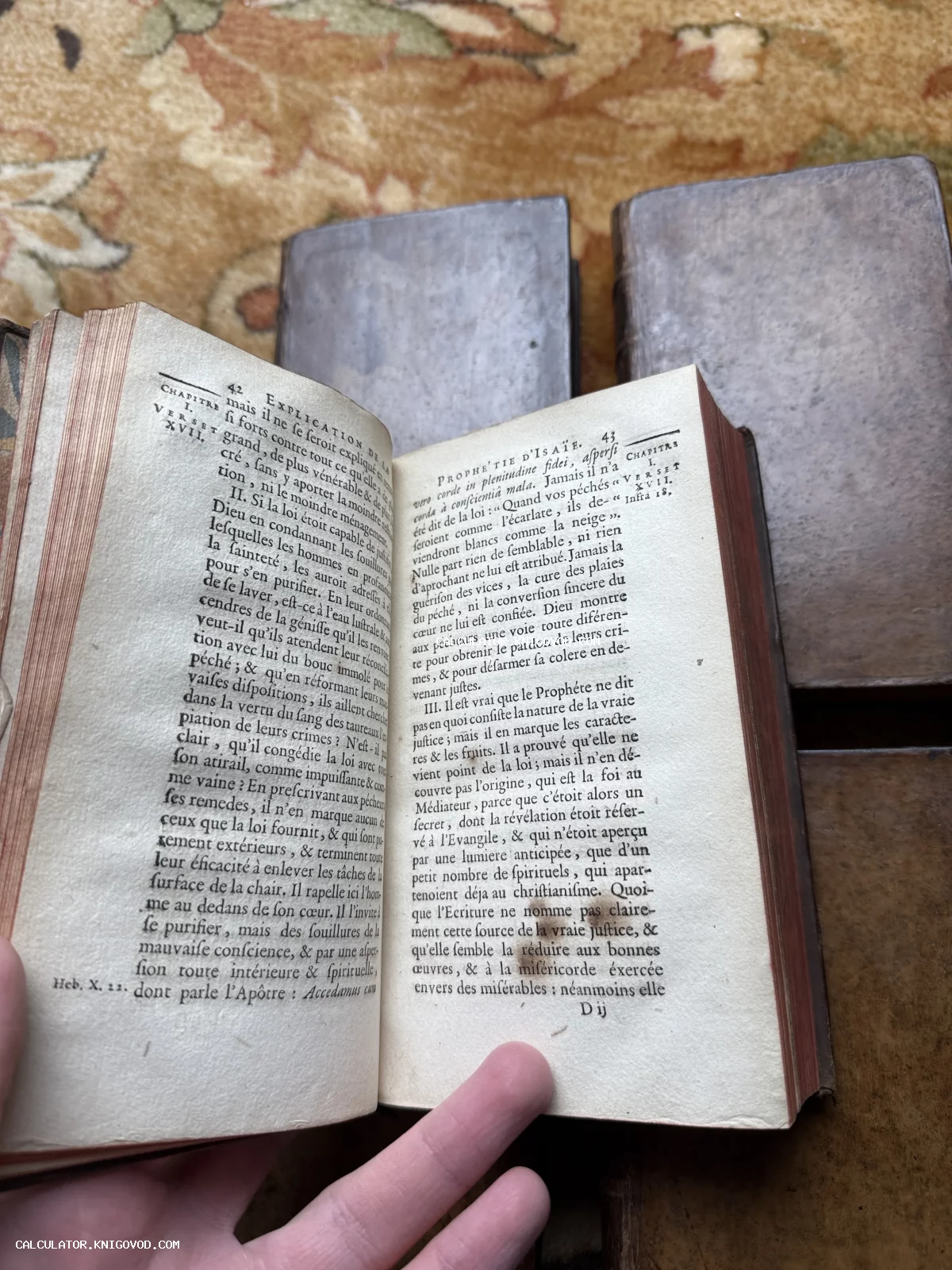 Разворот старинной книги на французском языке с пожелтевшими страницами, кожаным переплетом и антикварным шрифтом.