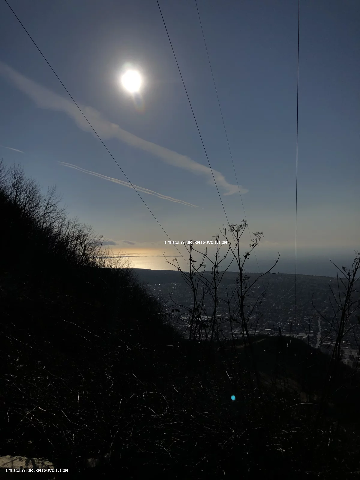 Пейзаж с видом на город и море с высоты горы под ясным небом, на переднем плане силуэты сухих растений и провода.