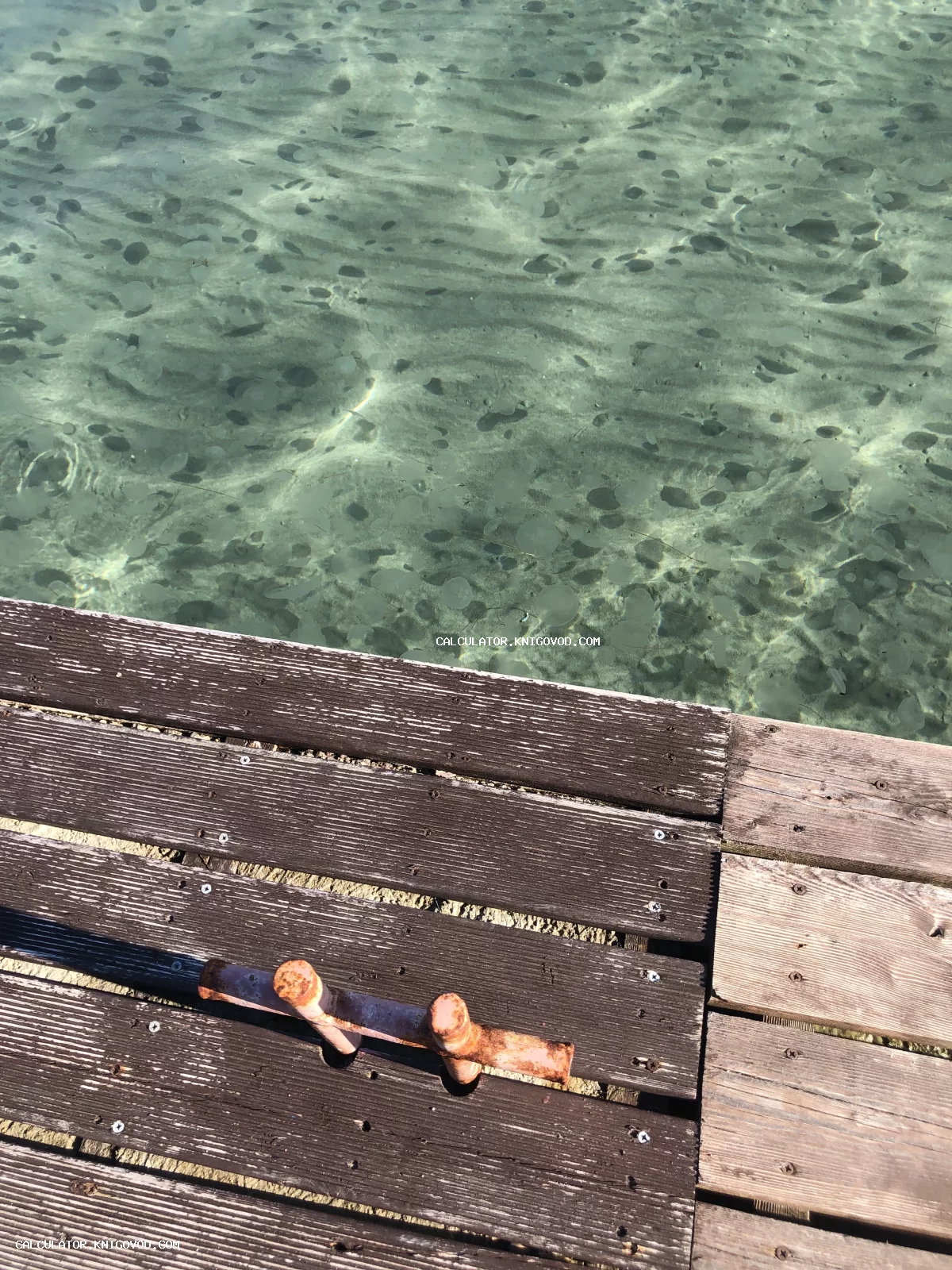 Вид сверху на деревянный настил причала с ржавым кнехтом и прозрачную морскую воду с множеством медуз.