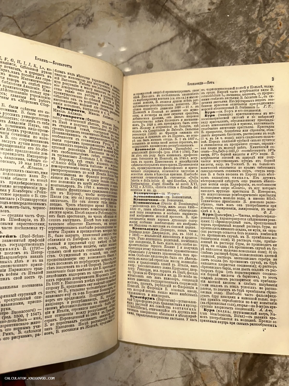 Разворот старинной книги с текстом на дореволюционном русском языке, содержащий статьи о Буонаротти и Буонафеде.
