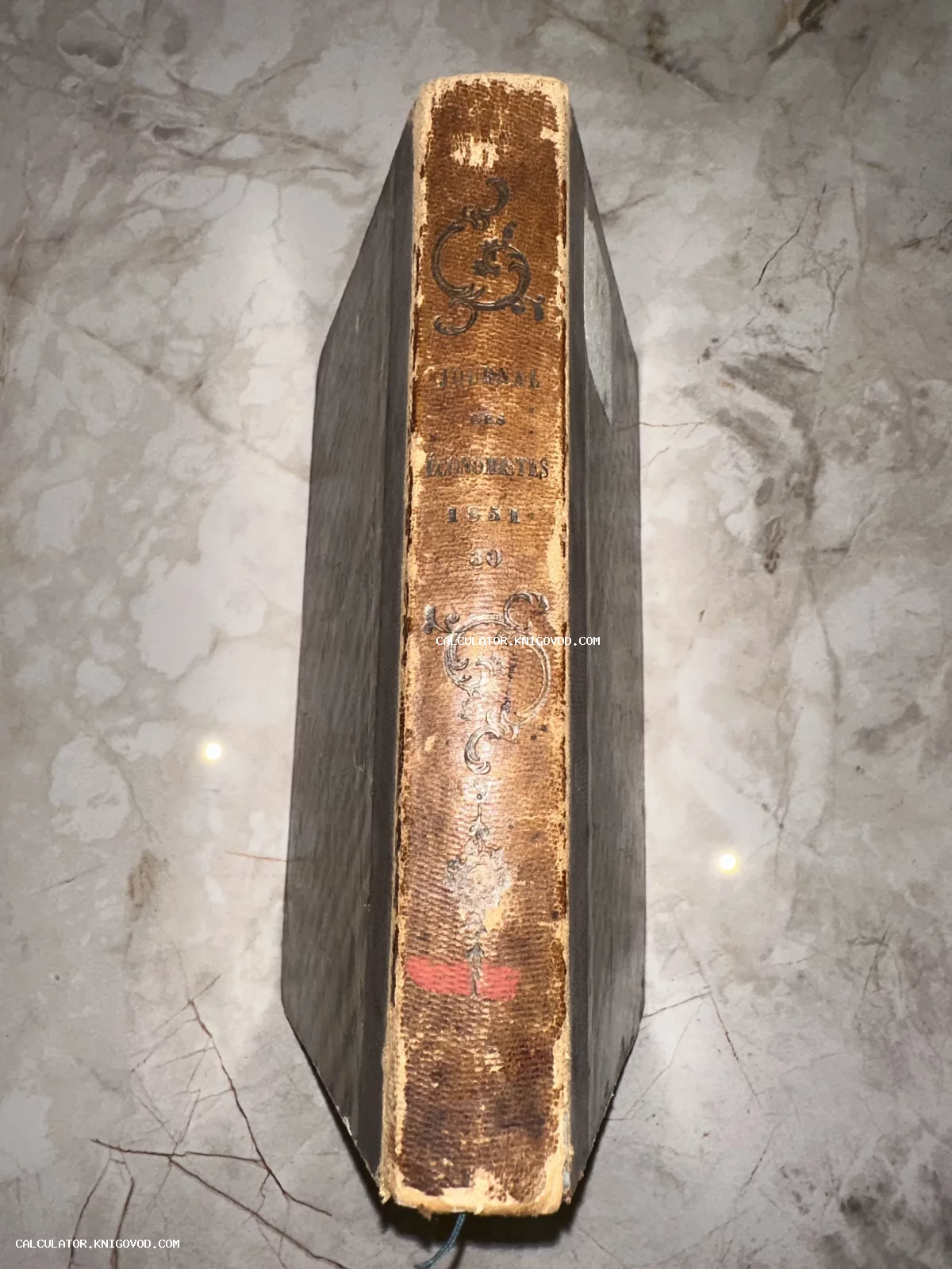 Старинный кожаный корешок французского экономического журнала 1851 года с золотым тиснением.