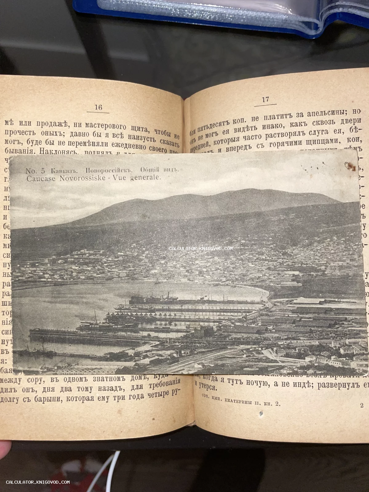 Черно-белая дореволюционная почтовая открытка с панорамой города и порта Новороссийск, лежащая на развороте старинной книги.
