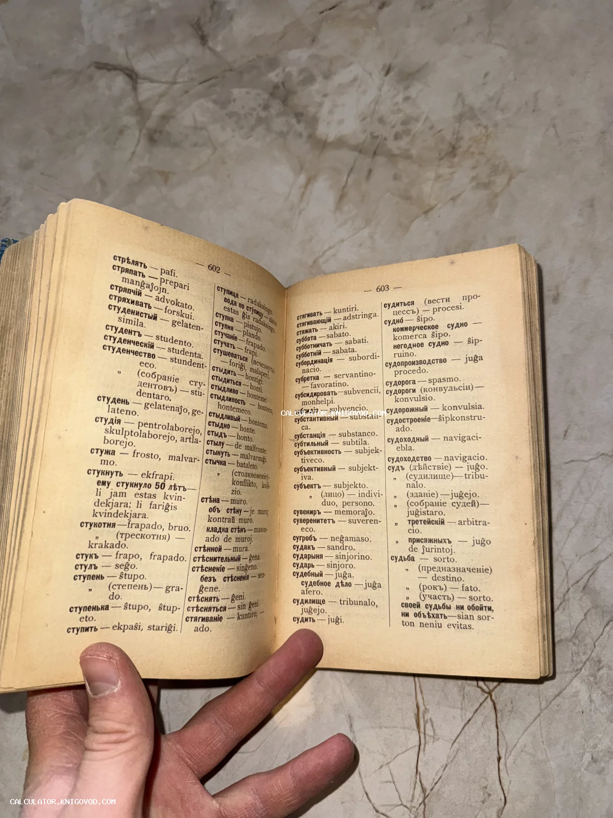 Разворот старинной книги с русско-эсперантским словарем, пожелтевшие страницы, текст в две колонки с буквами дореволюционного образца.