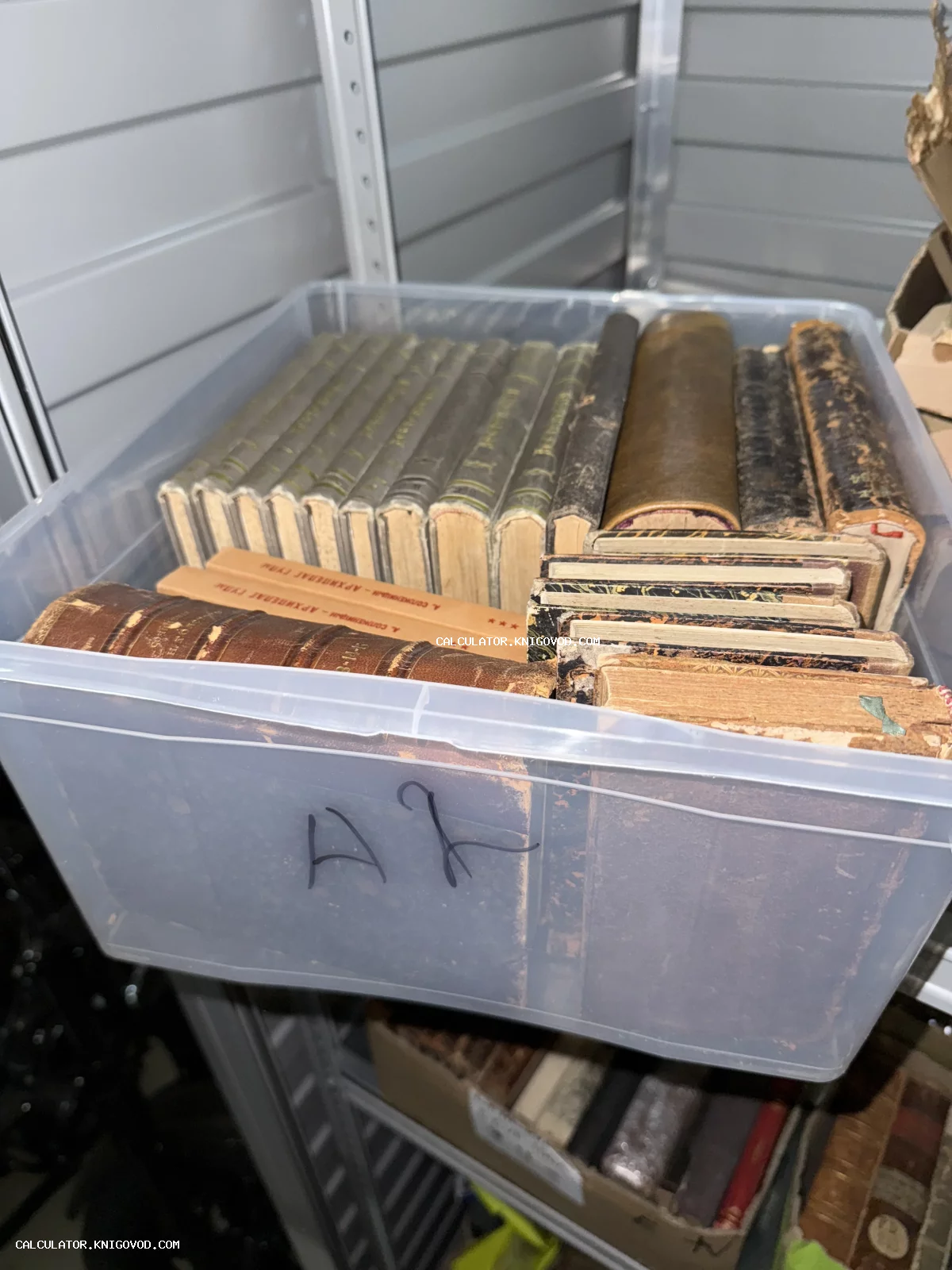 Пластиковый контейнер на полке, заполненный старинными книгами в кожаных переплетах и изданиями Александра Солженицына.