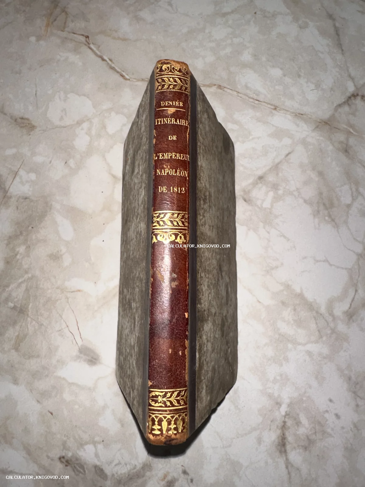 Корешок старинной французской книги в кожаном переплете с золотым тиснением, посвященной походу Наполеона 1812 года.