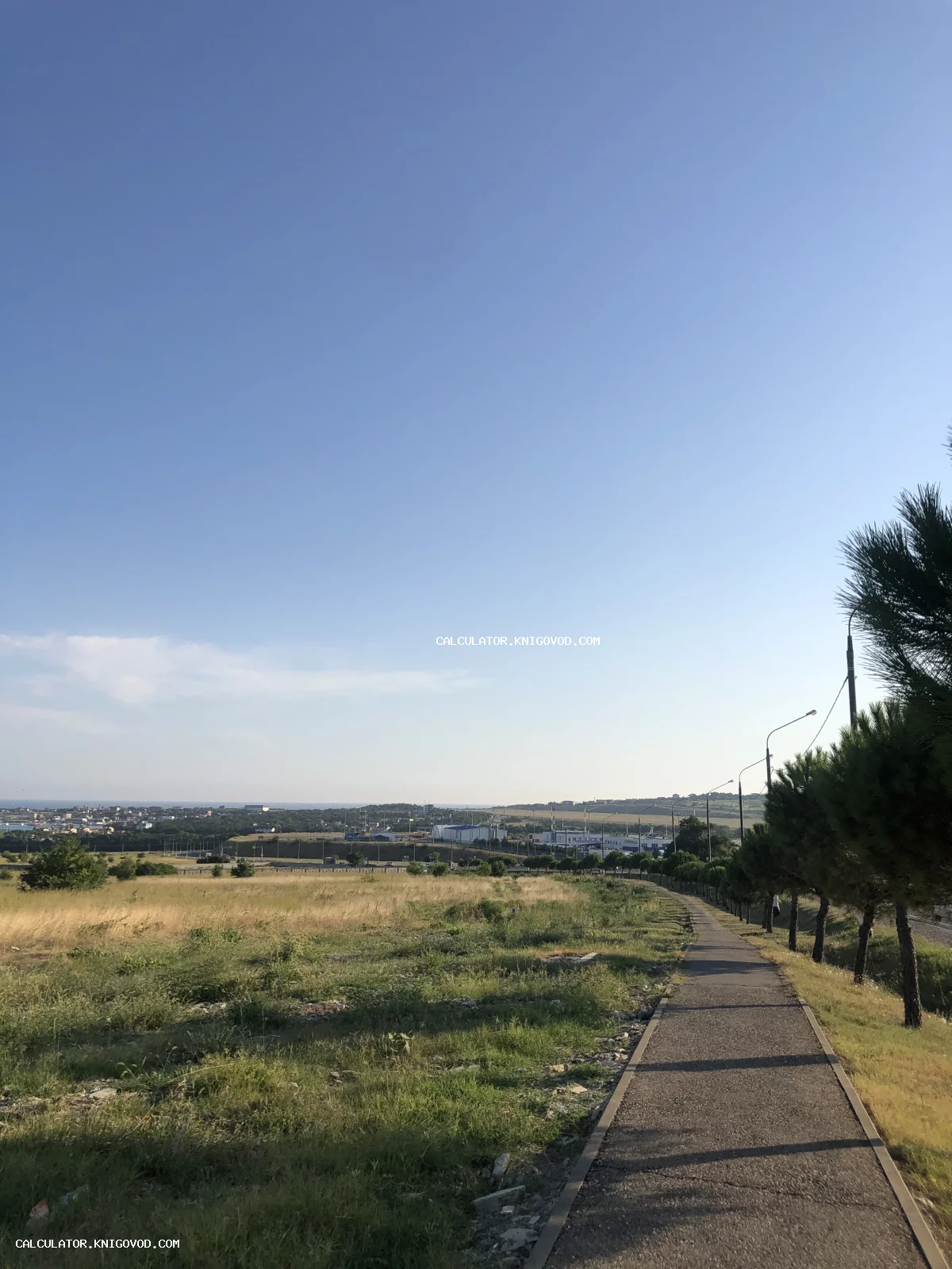 Асфальтированная дорожка вдоль сосновой аллеи в поле на фоне ясного неба и далеких городских строений.