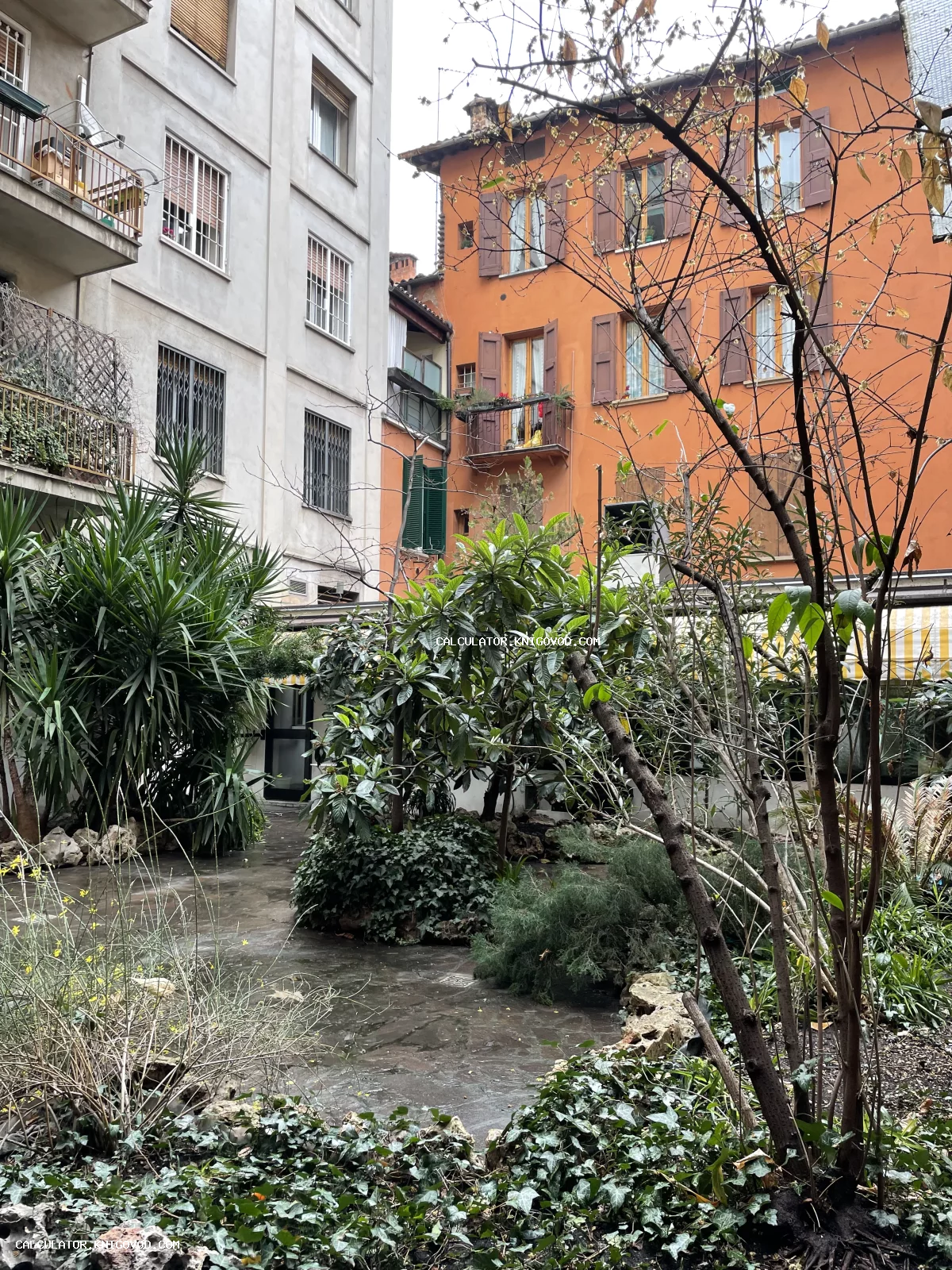 Внутренний зеленый дворик между серым и оранжевым жилыми зданиями с пышной растительностью, пальмами и плющом.