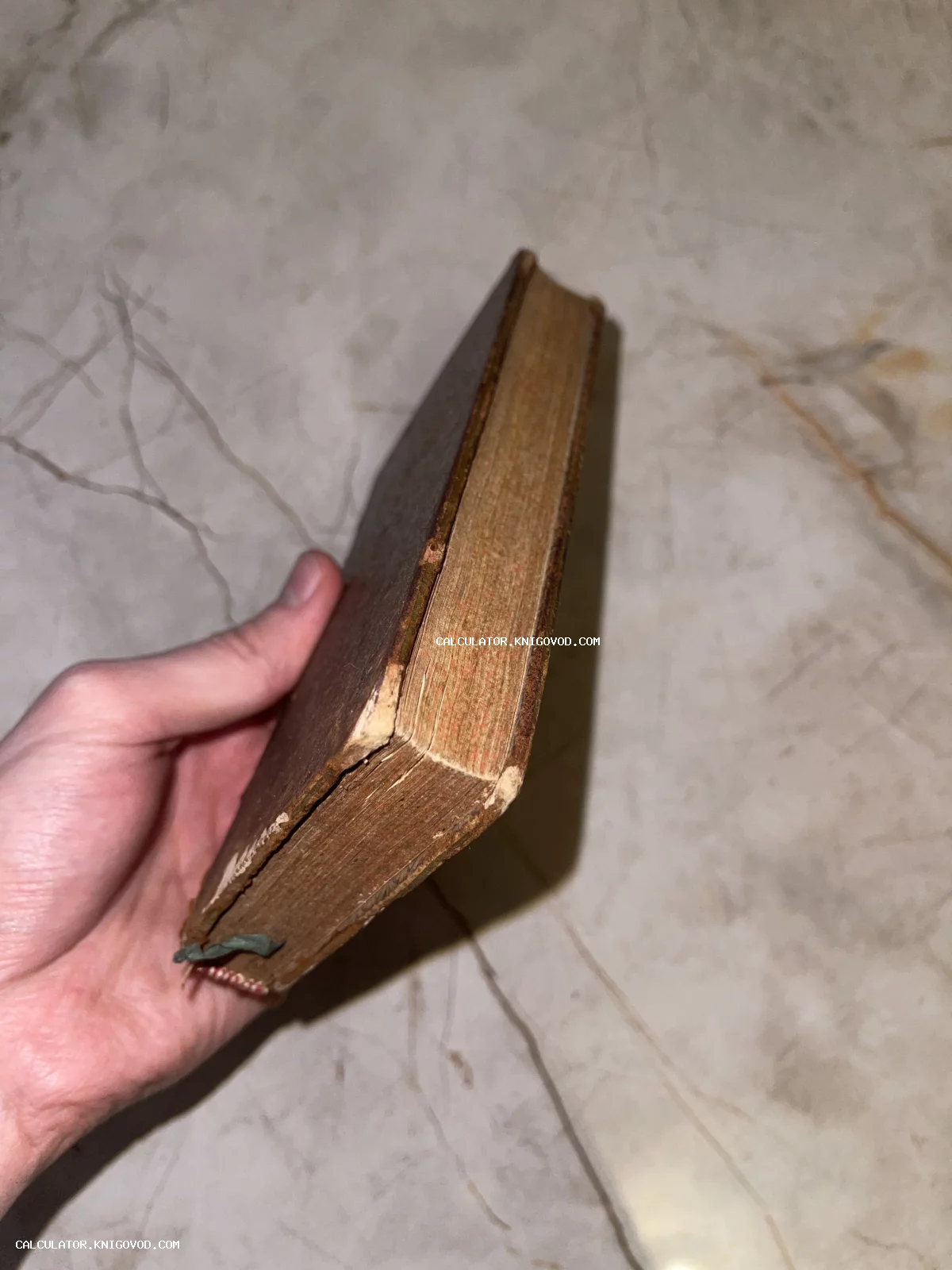 Рука держит массивную старинную книгу в потрепанном коричневом переплете с пожелтевшими от времени страницами.