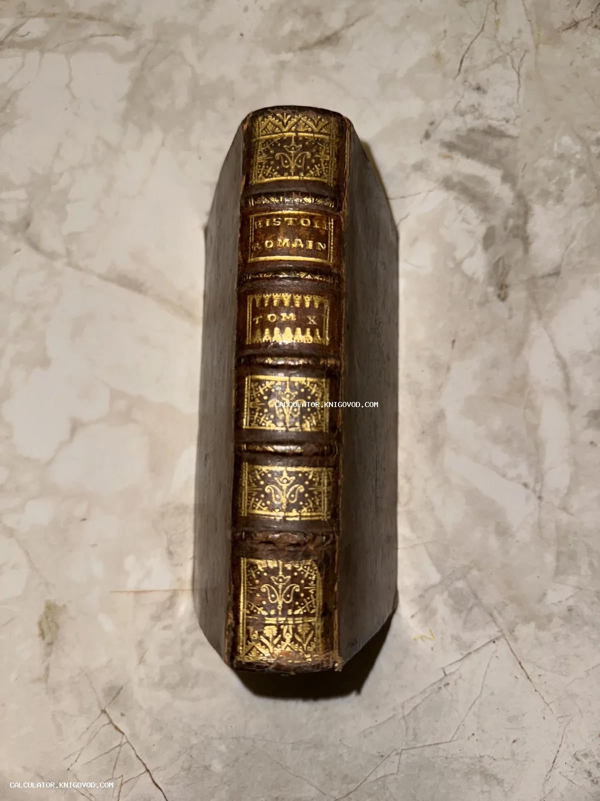 Корешок старинной книги Histoire Romaine с золотым тиснением и орнаментами на кожаном переплете.