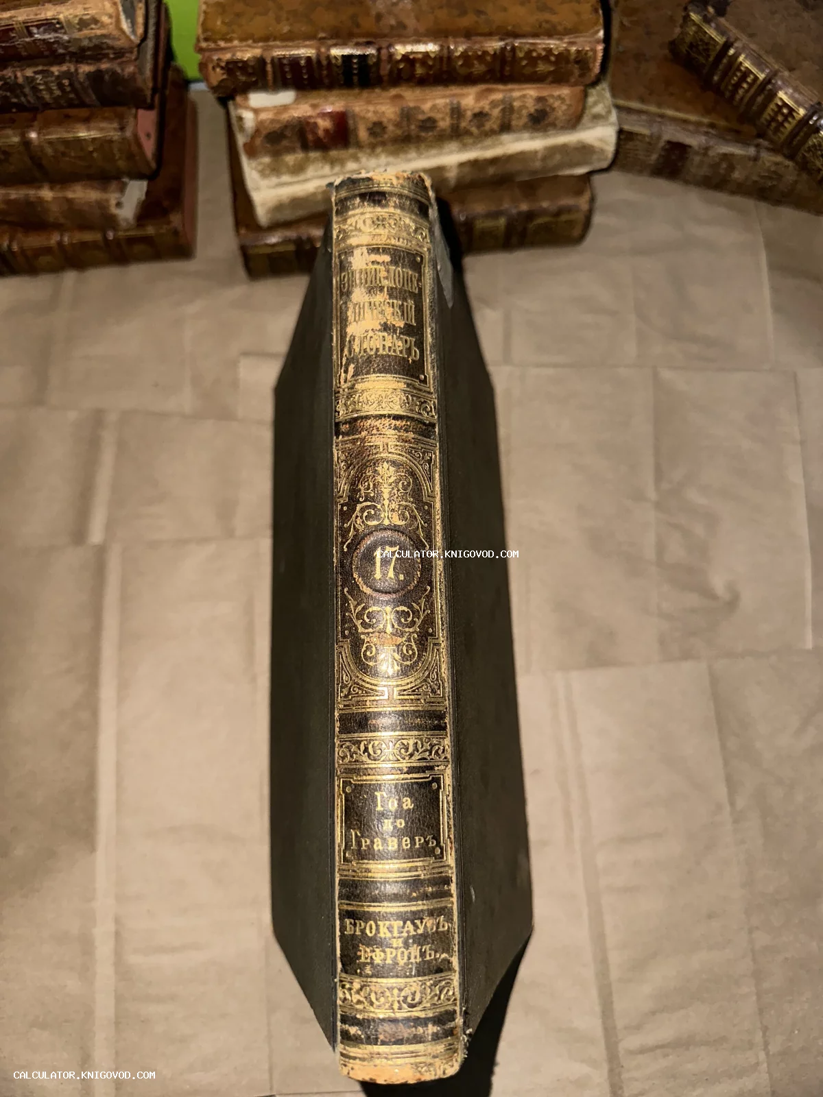 Вид сверху на корешок антикварной книги «Энциклопедический словарь» Брокгауза и Ефрона с золотым тиснением.