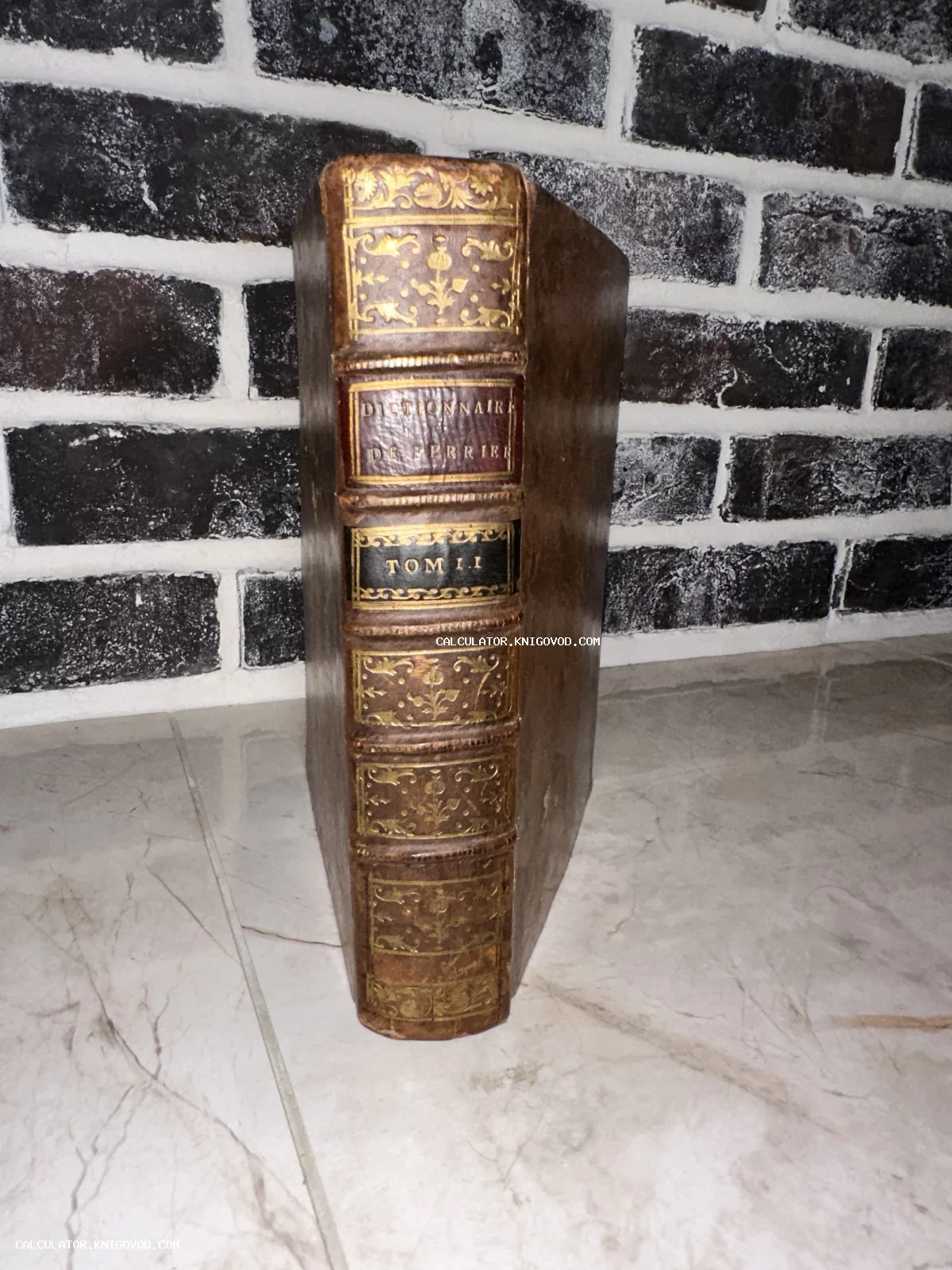 Корешок антикварной книги Dictionnaire de Ferrier с золотым орнаментом и надписями на фоне кирпичной кладки.