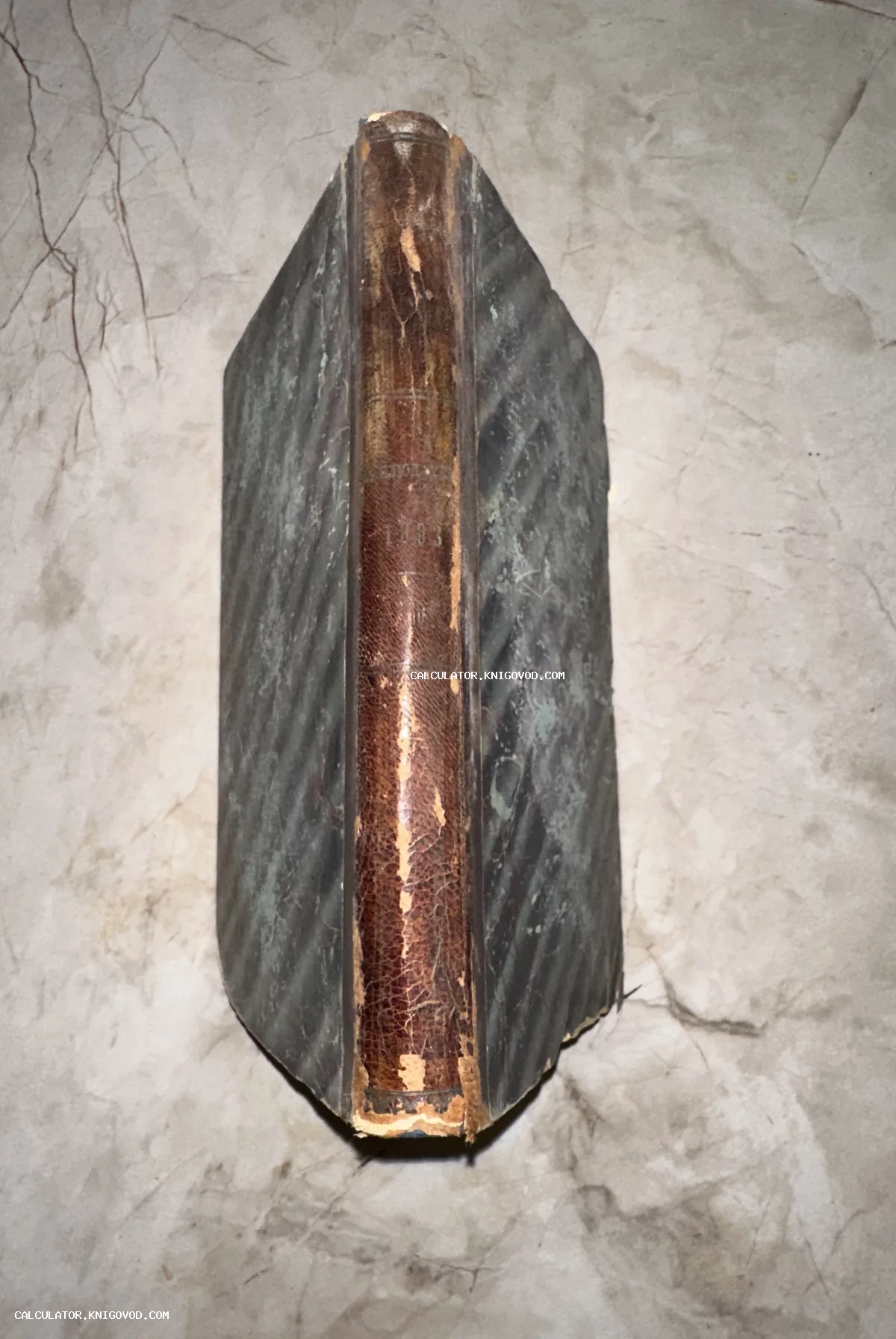 Вид на корешок и обложку старинной книги конца XIX века с тиснением 1893 года на кожаном переплете.