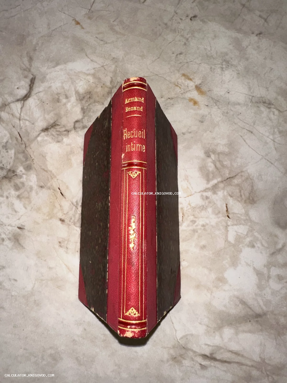 Корешок антикварной книги Armand Renaud «Recueil intime» в красном переплете с золотым тиснением на мраморной поверхности.