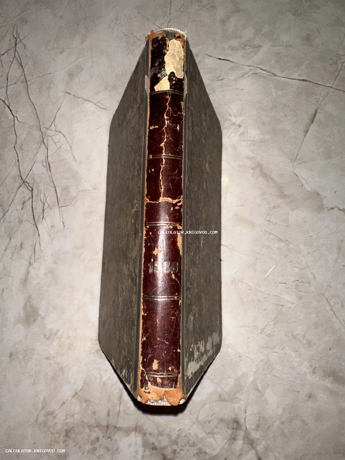 Вид сверху на потертый корешок антикварной книги 1886 года издания с золотым тиснением на мраморном фоне.
