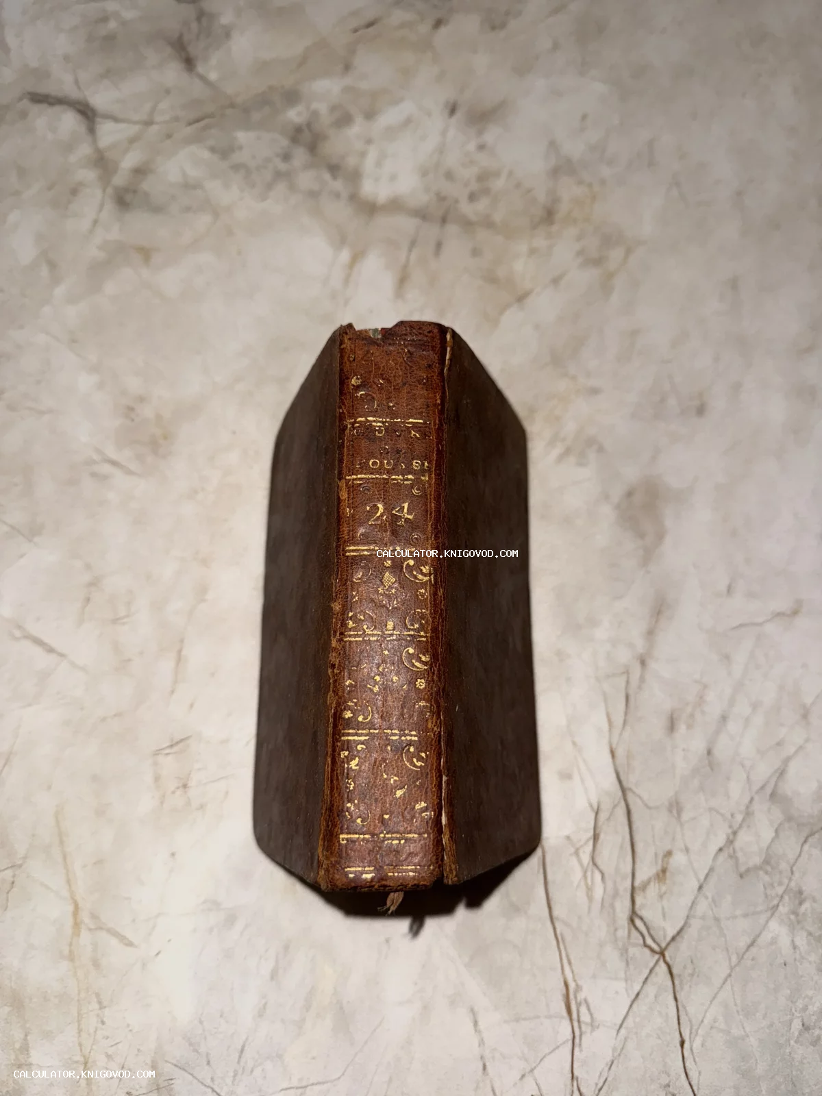 Корешок антикварной книги в коричневом кожаном переплете с золотым тиснением и надписью Rousseau 24 на светлом фоне.