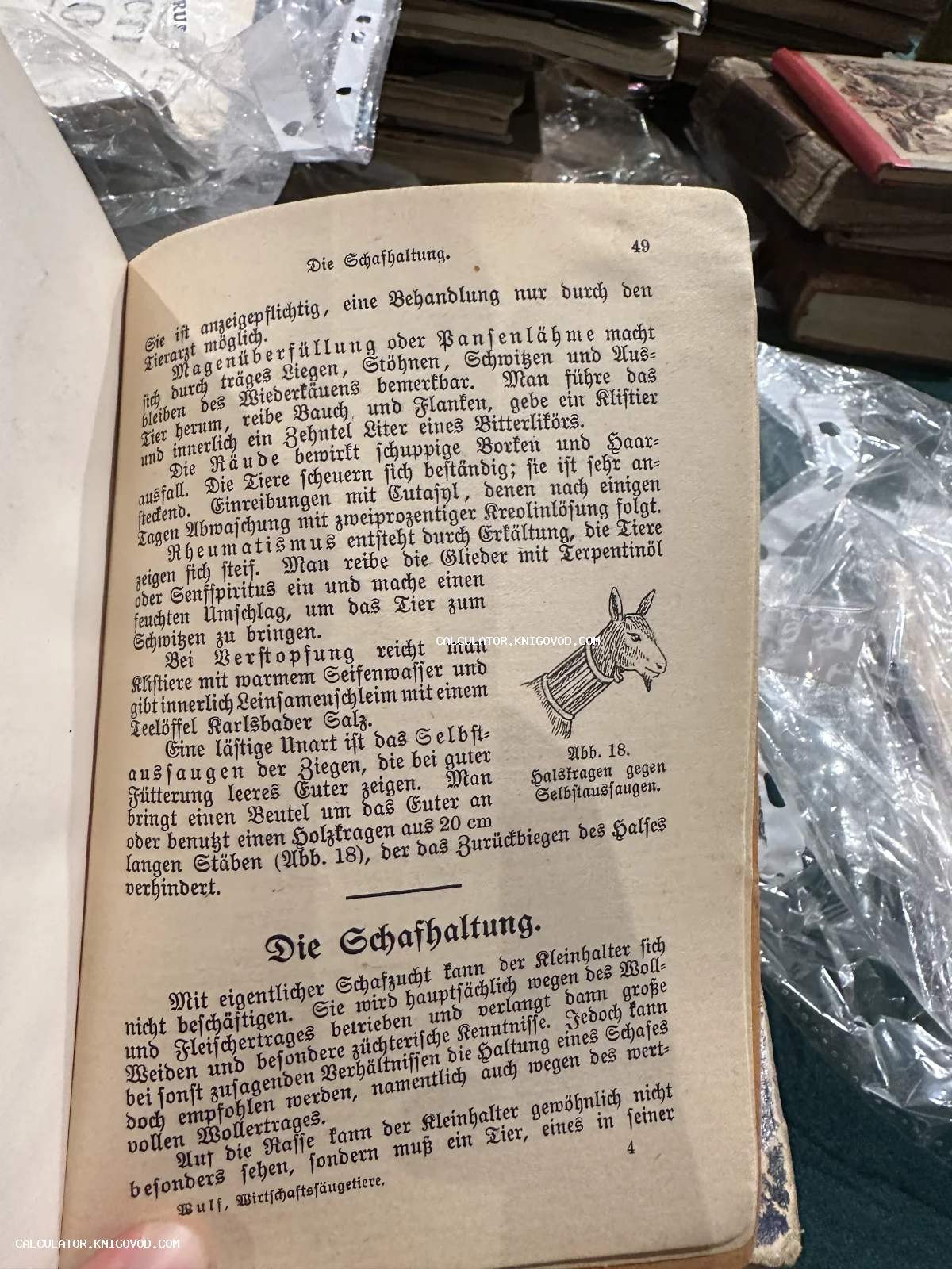 Разворот антикварной книги на немецком языке с готическим шрифтом и иллюстрацией козы в защитном воротнике.