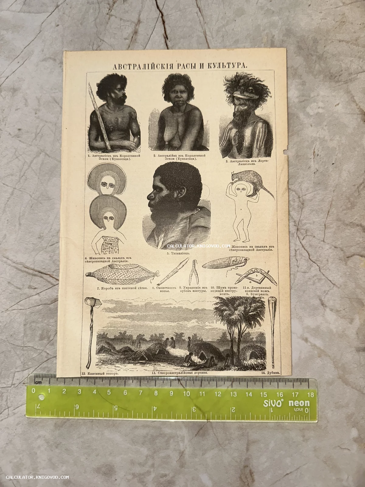 Старинный печатный лист с антропологическими портретами коренных австралийцев, изображениями оружия, предметов быта и деревни. Подписи на дореволюционном русском языке.